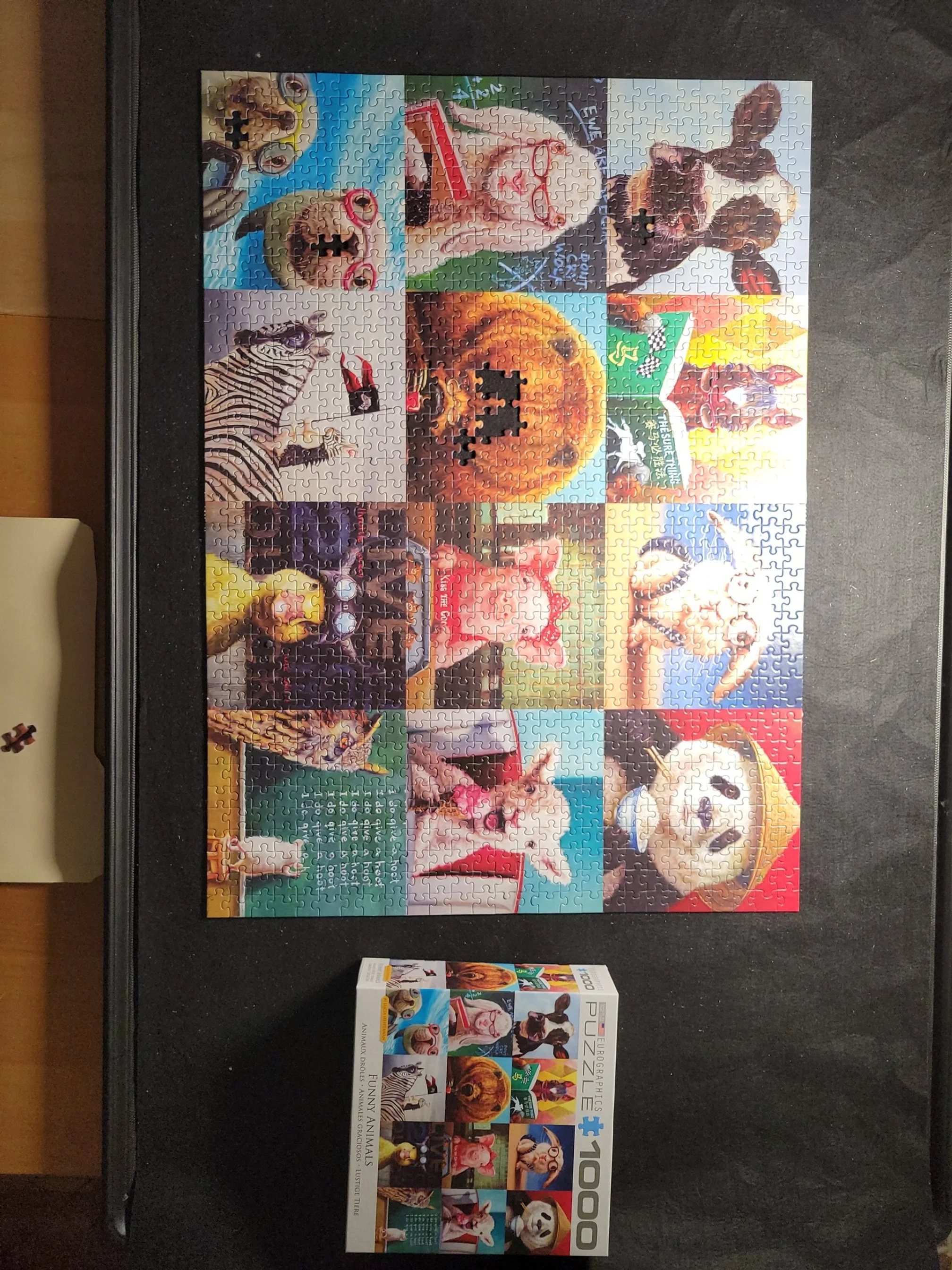 Finished Funny Animals.jpg