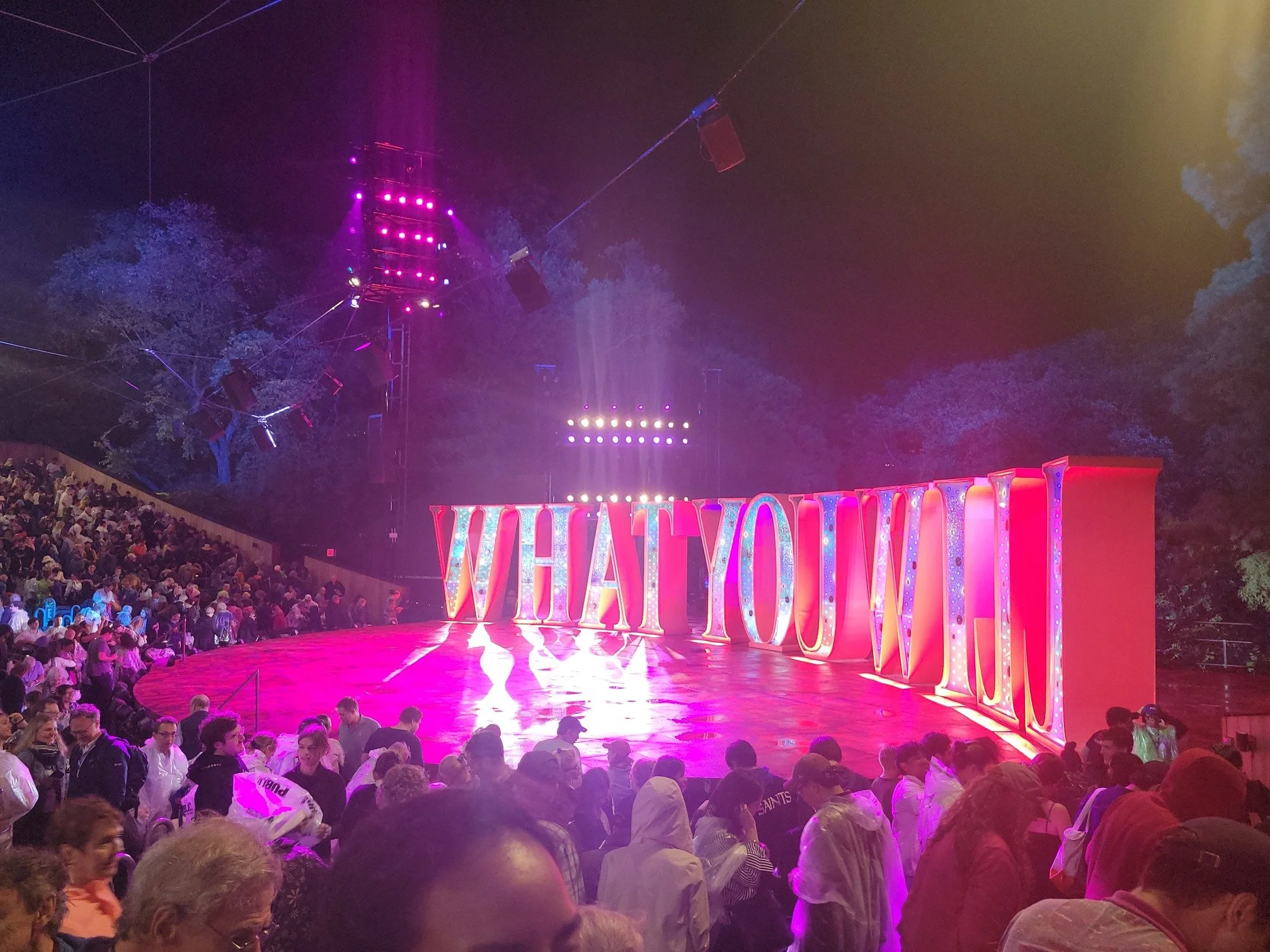 What You Will 12th Night in the park.jpg