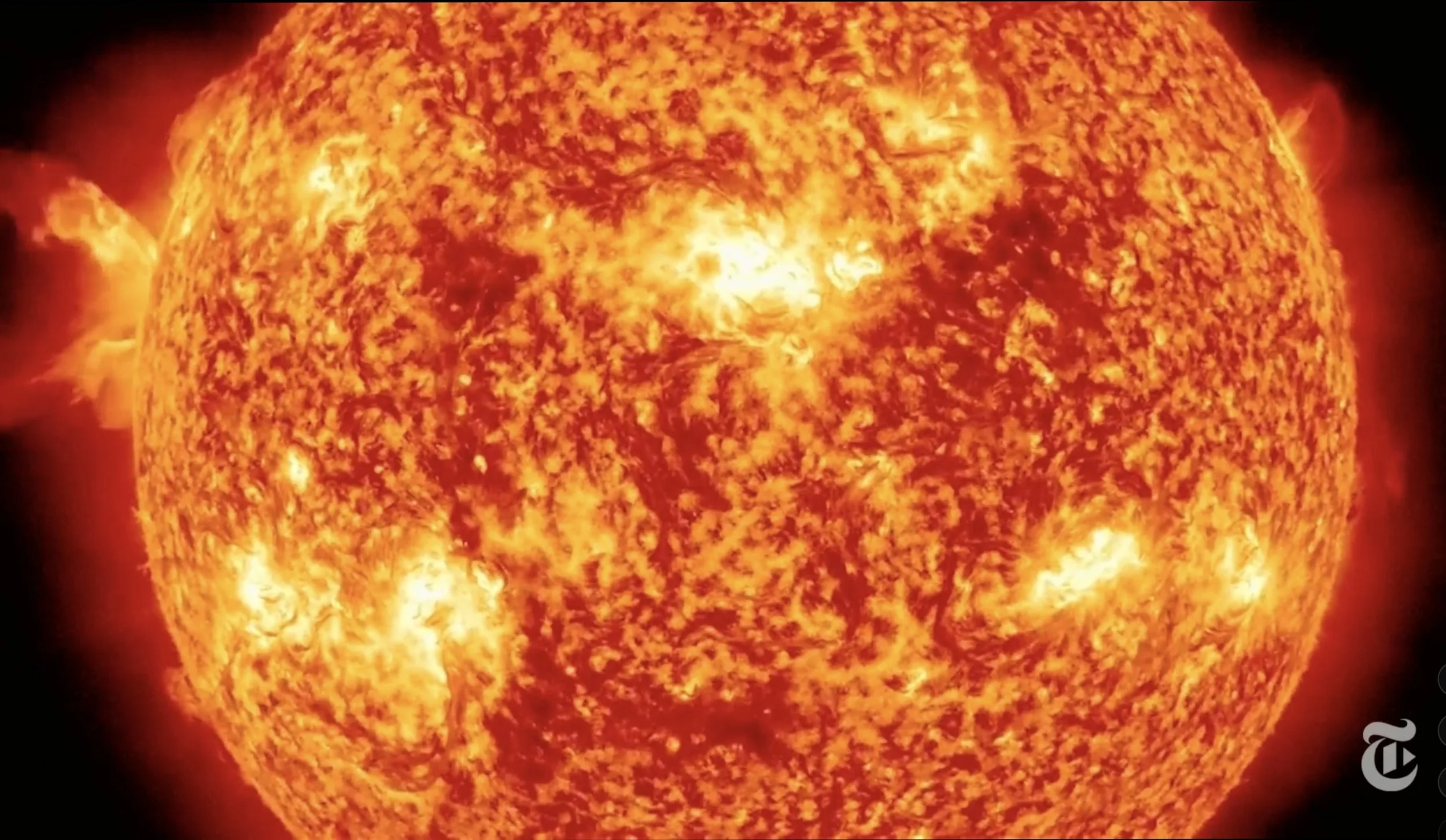 Screenshot 2026-02-10 at 10.56.13 AM.jpeg