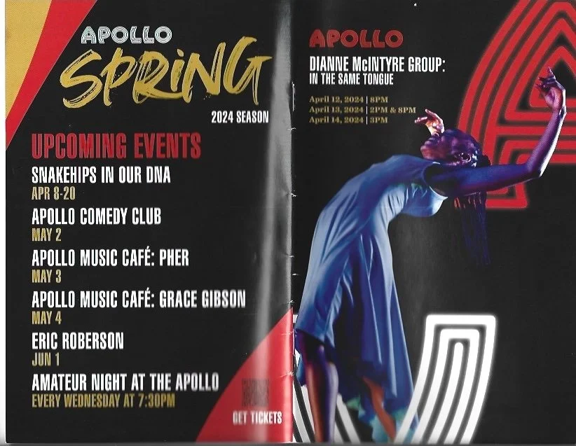 Dianne McIntyre @ Apollo Program Cover .jpeg