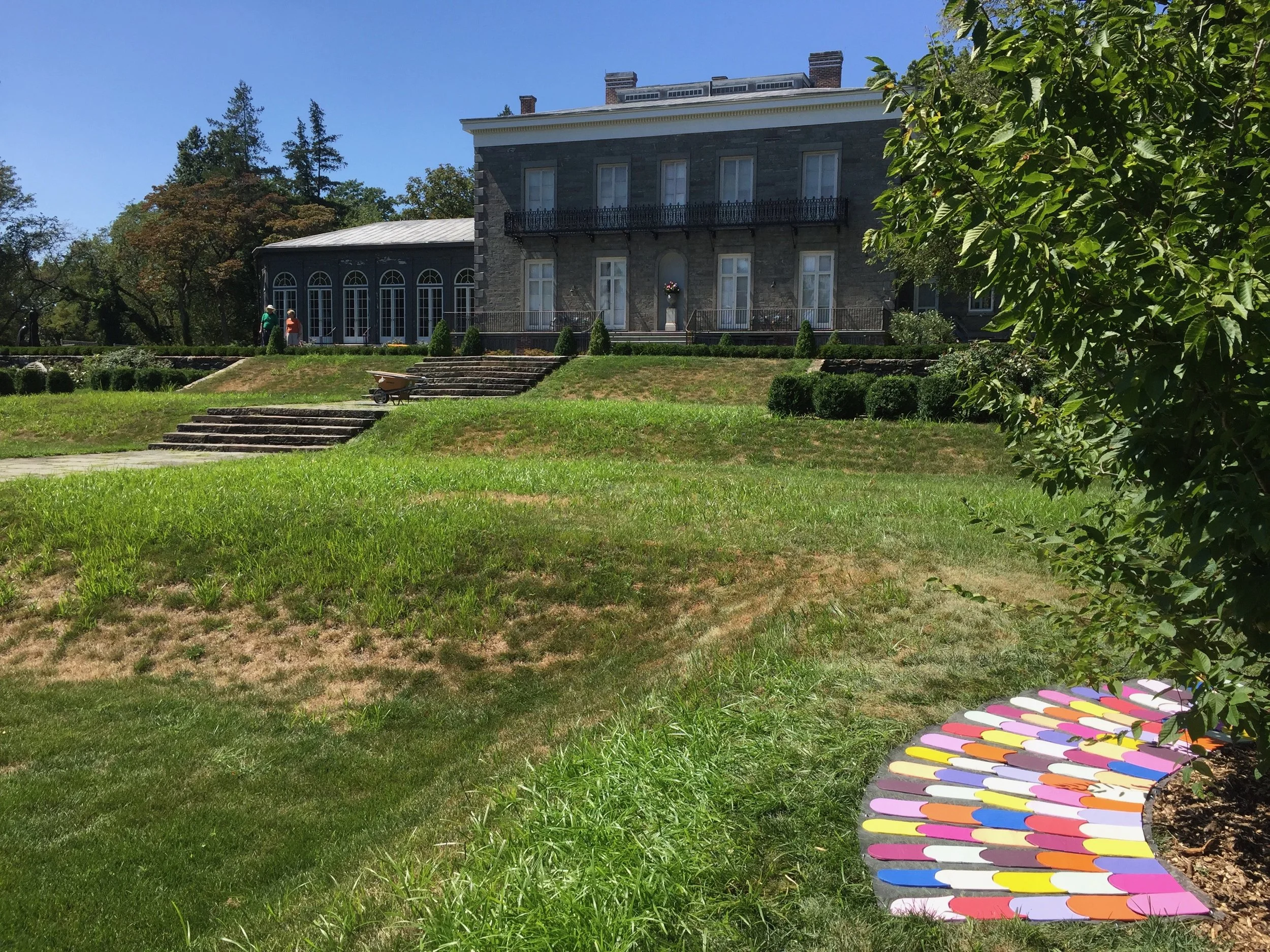 Memories of a Summer Garden in Bloom, 2016
