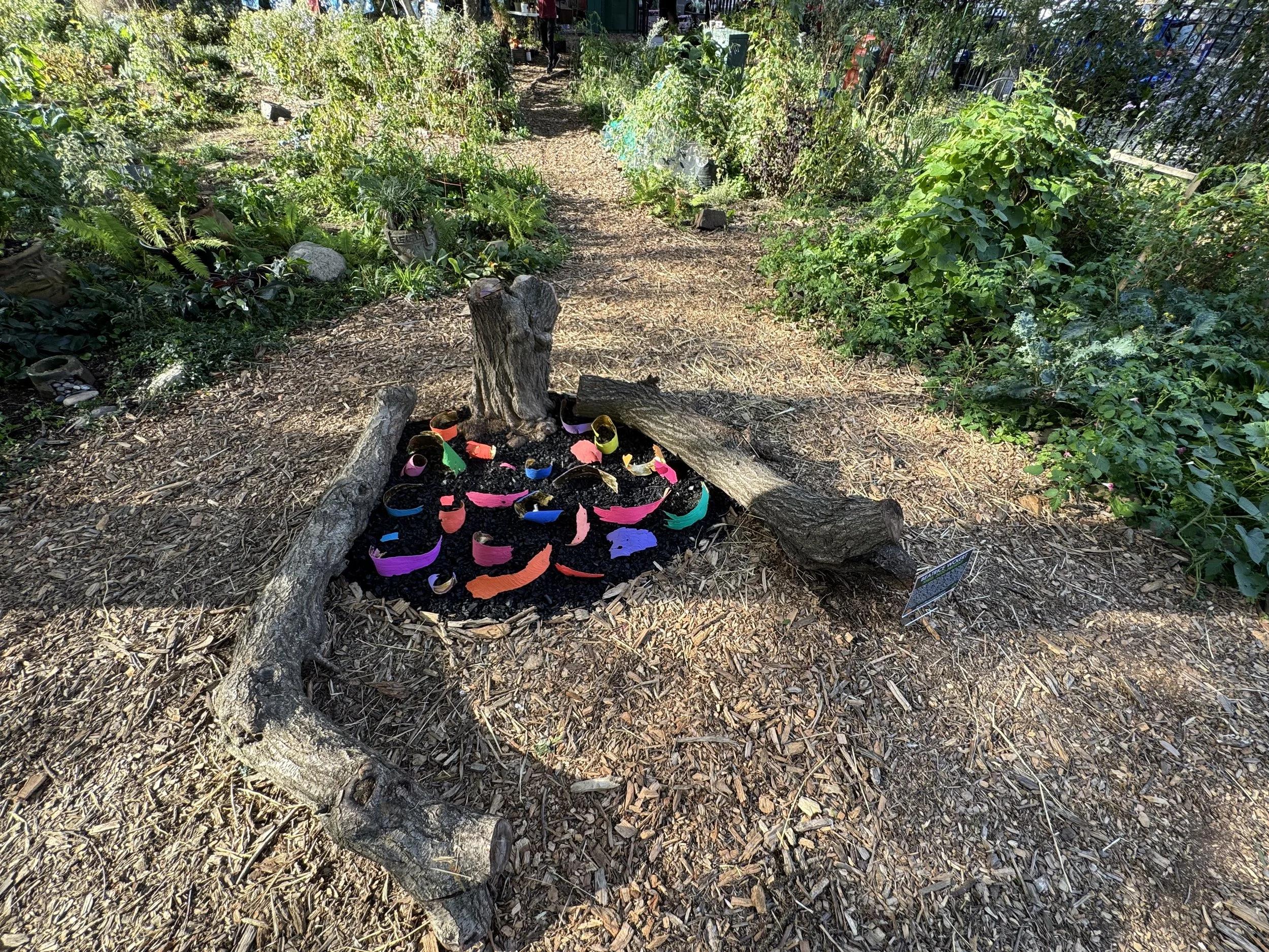 IMG_0713.jpeg