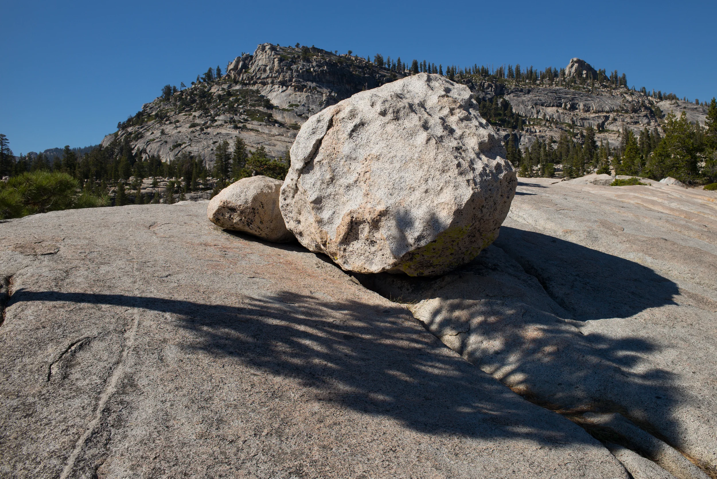 L1000497.jpg