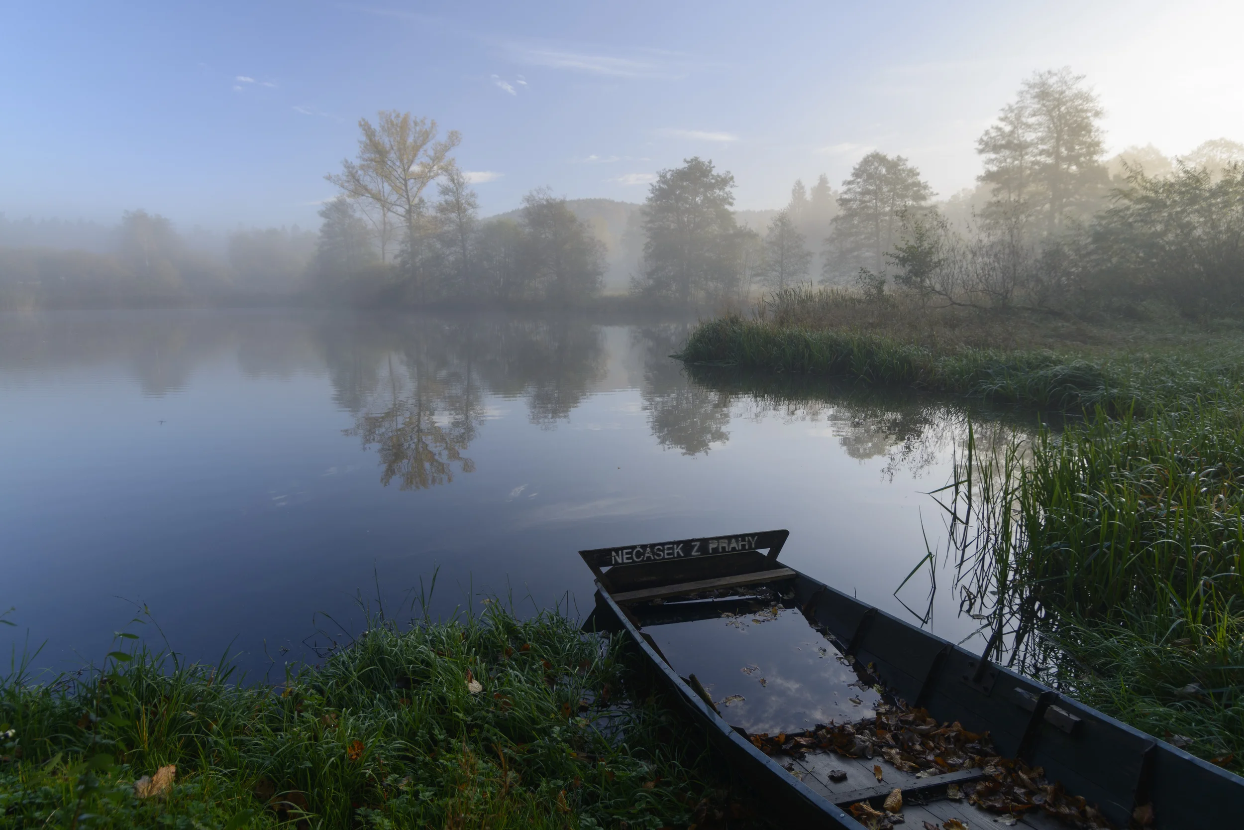 DSC_1900.jpg