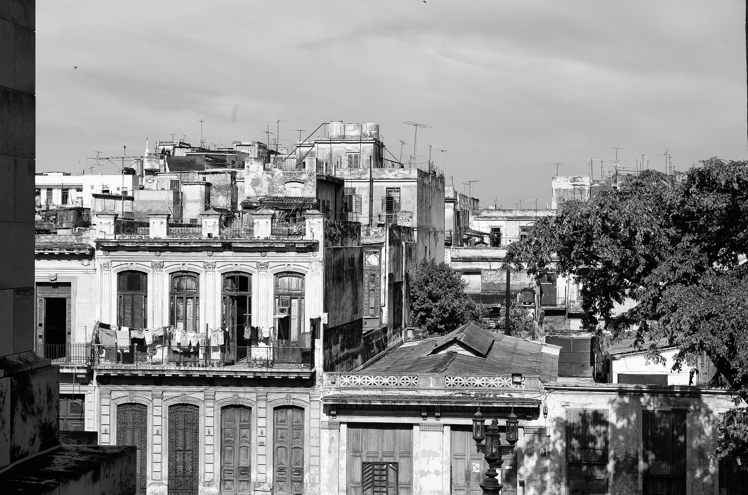 _DSC0807.jpg