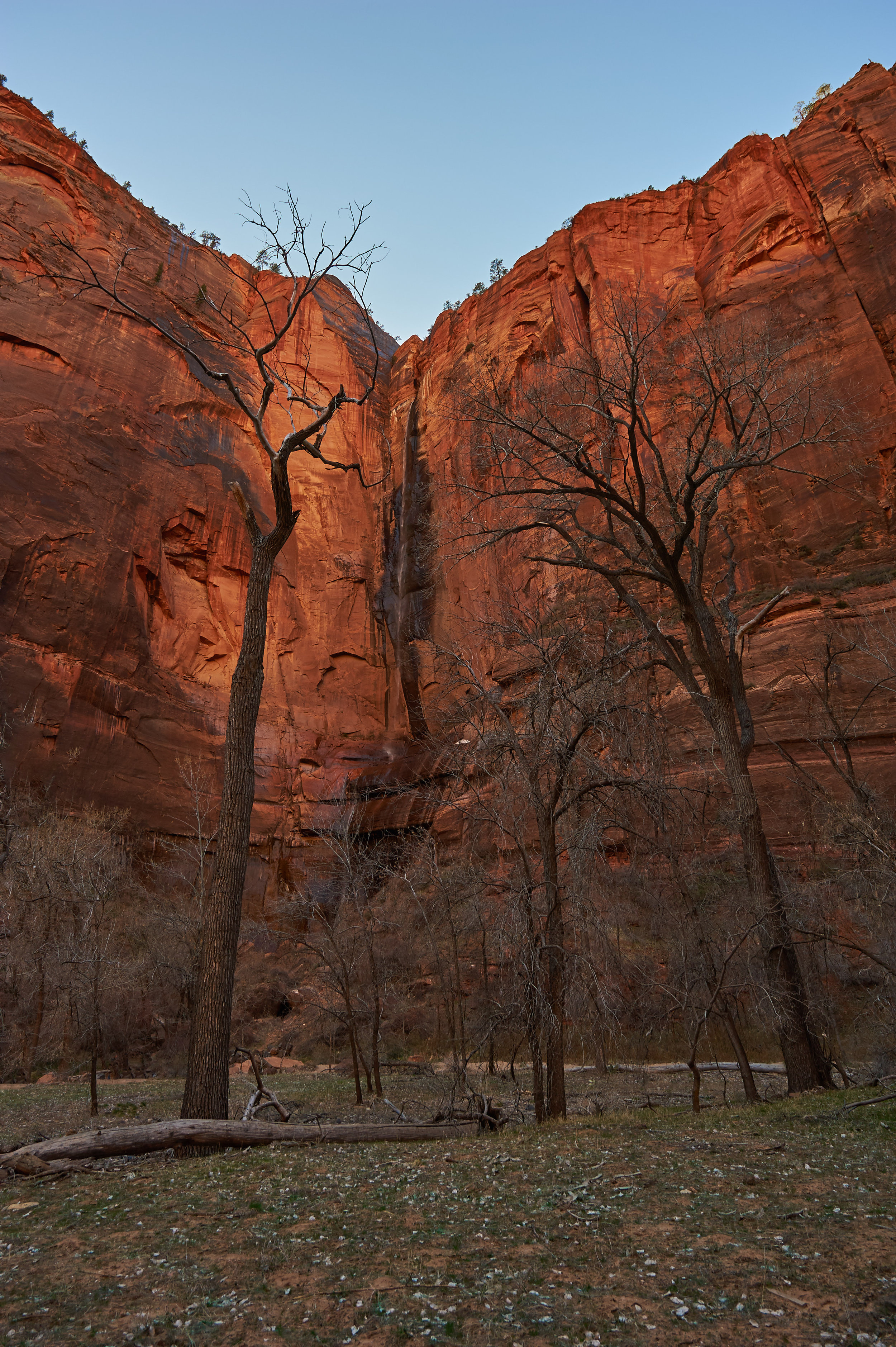 Zion, USA