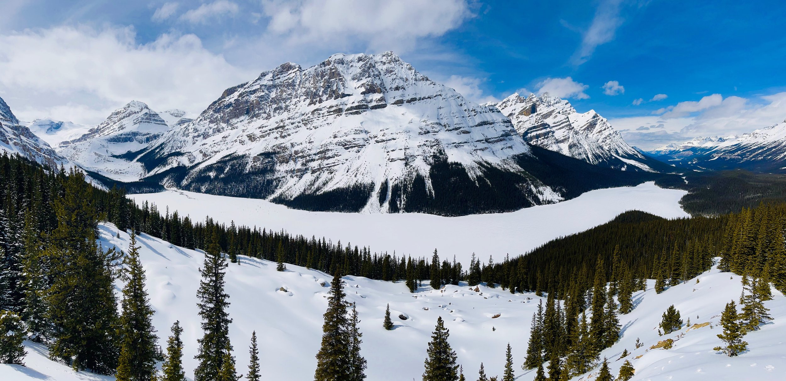 Zamrzlé Peyto Lake