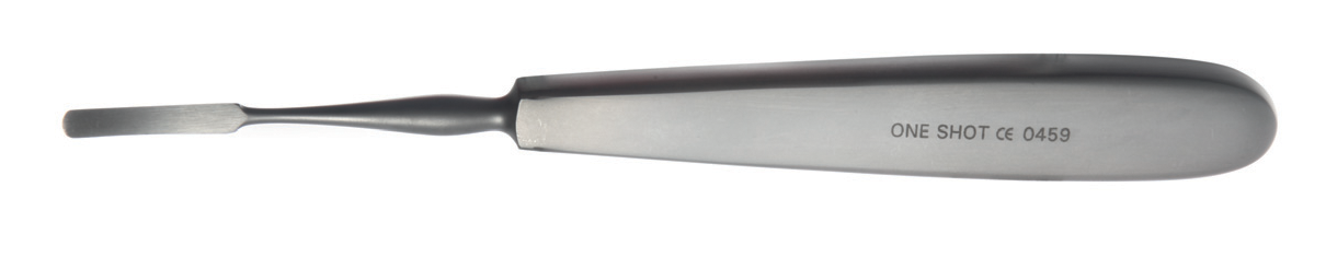 Jospeh Separato 17cm