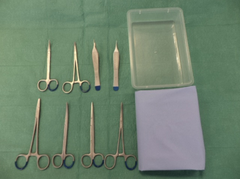 LM Hechtset A groot (28 sets per doos) 1 Naaldvoerder Mayo Hegar 15 cm 1 Metzenbaum schaar recht 14,5 cm 1 Metzenbaum schaar gebogen 14,5 cm 1 Micro Adson chirurgisch pincet 1 x 2 tanden 12 cm 1 Halsted mosquito arterieklem gebogen 12,5 cm 1 Baby-Crile arterieklem gebogen 14 cm 1 Tray 19,5 x 13 x 3,5 cm 1 Steriel veldf 70 x 90 cm