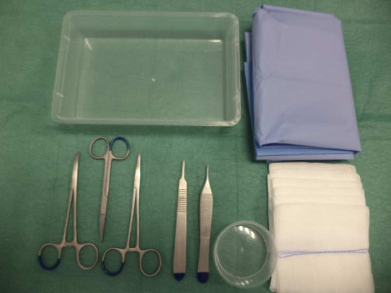 LMPK130624 Excisie set 1 Steriel veld 2 laags PE 33 gr/m2 NW 30 gr/m2 70 x 90 cm blauw 1 Tray PP 195 x 130 x 35 mm transparant 1 Gallipot PP 60 ml 6 Wondgazen XR 12 laags 17 dr. 10 x 10 cm 1 Chirurgisch pincet Adson micro 1x2 tanden 12 cm 1 x 2 1 Iris schaar gebogen scherp/scherp 11,5 cm 1 Naaldvoerder Halsey gladde bek fijn 13 cm 1 Arterieklem Halsted Mosquito gebogen 12,5 cm 1 Mesheft no. 3 12,5 cm