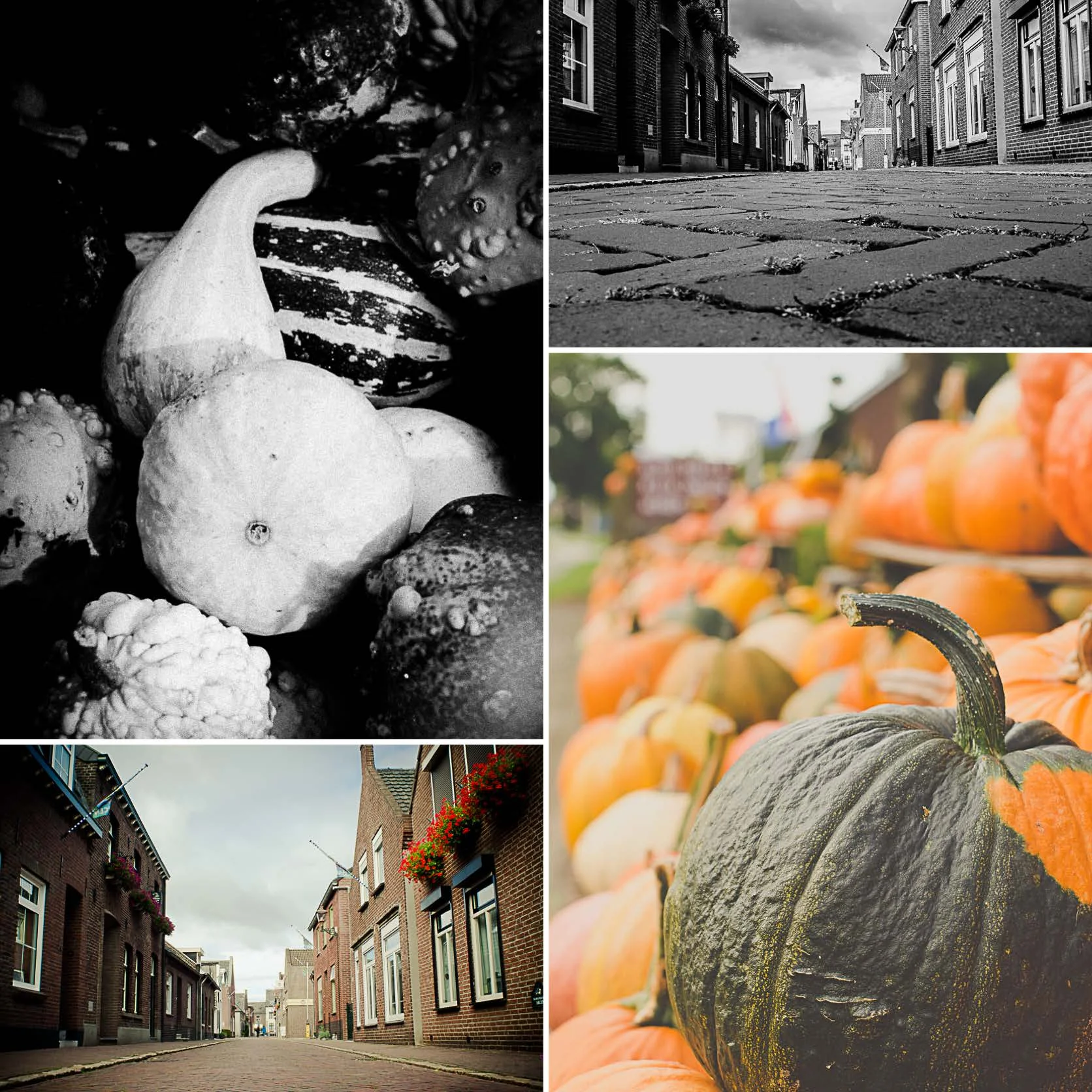 AgneseS_business cards_fronte2.jpg