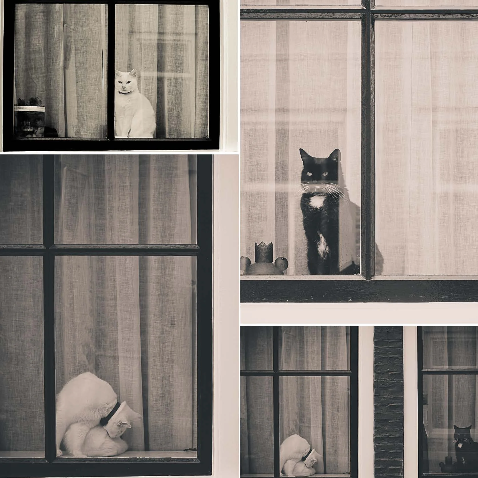 AgneseS_business cards_fronte3.jpg