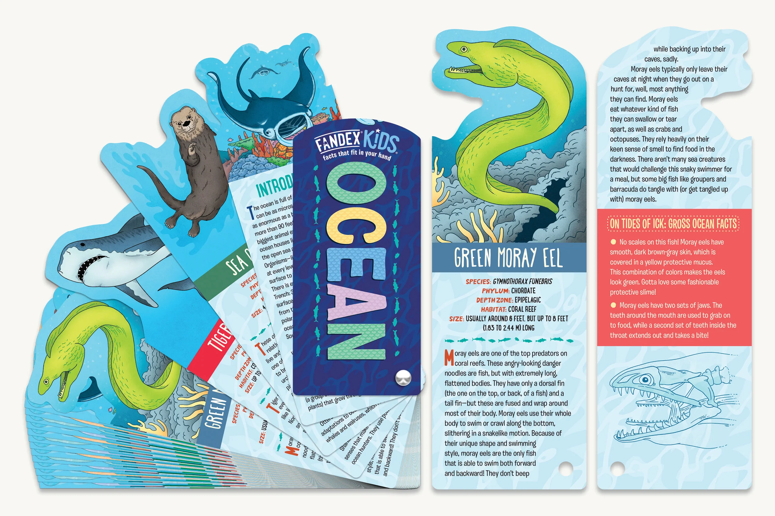 Portfolio Image Template_Book_fandex3.jpg