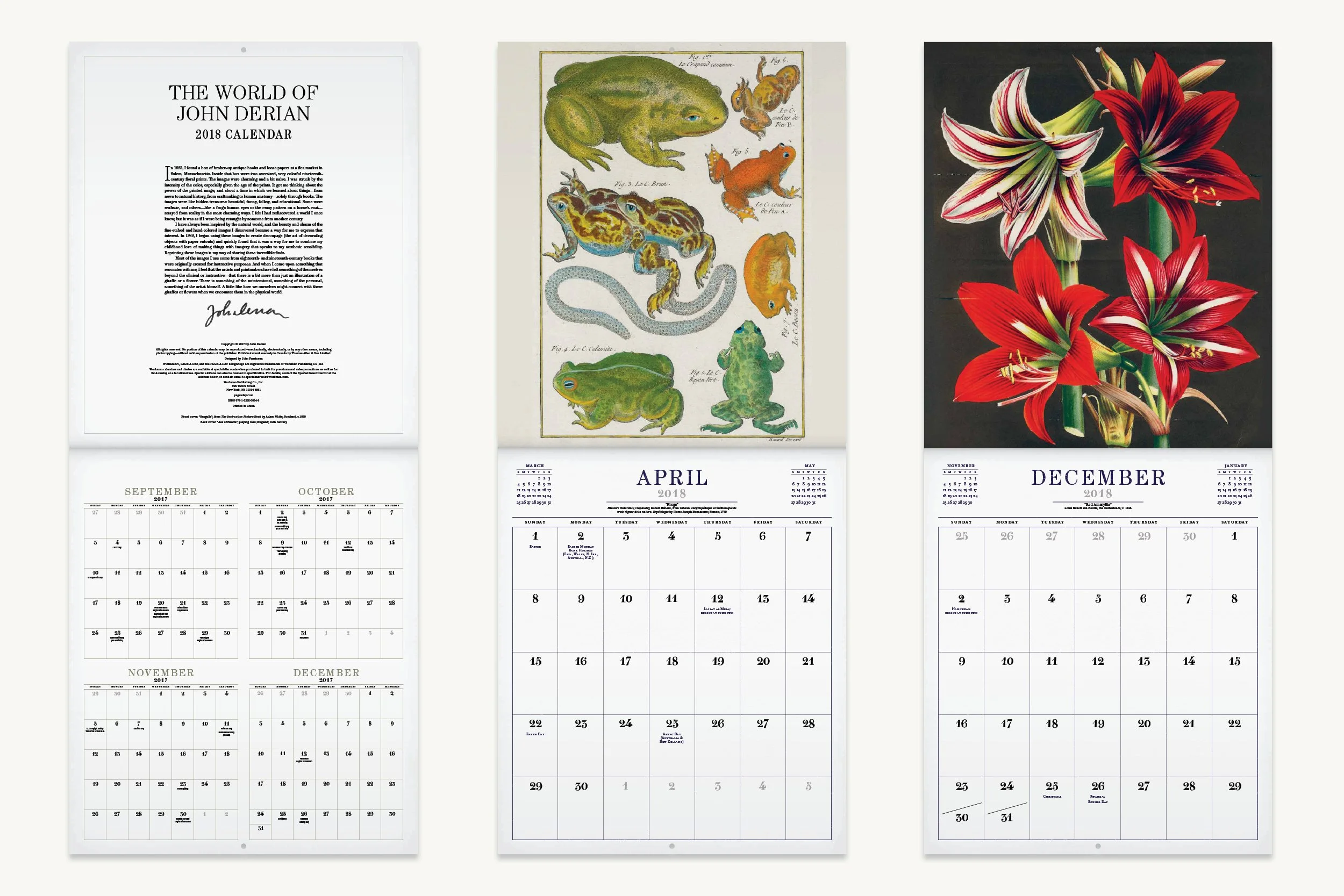 Portfolio Image Template_Book_JDWALL5.jpg