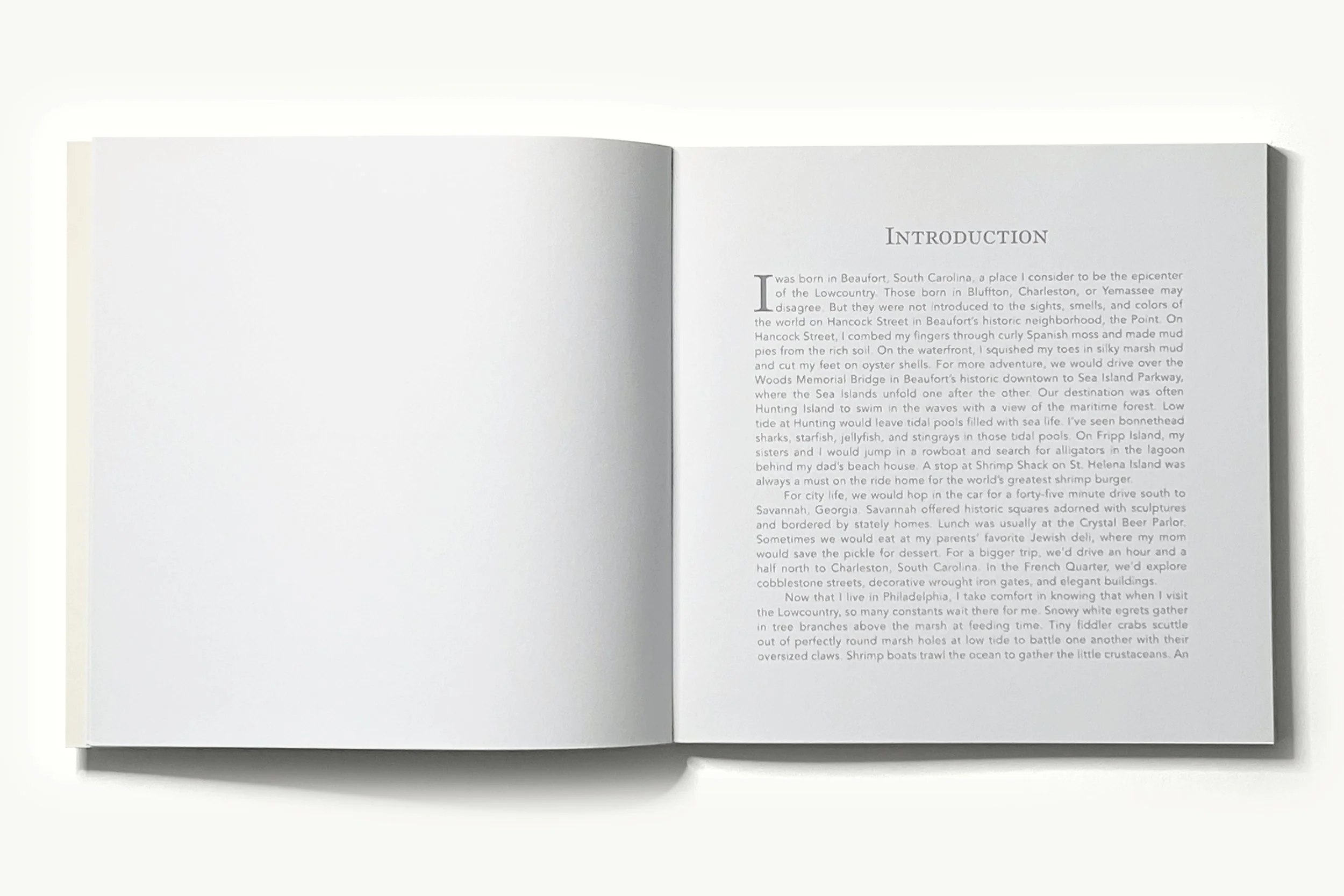 Portfolio Image Template_Book_LC4.jpg