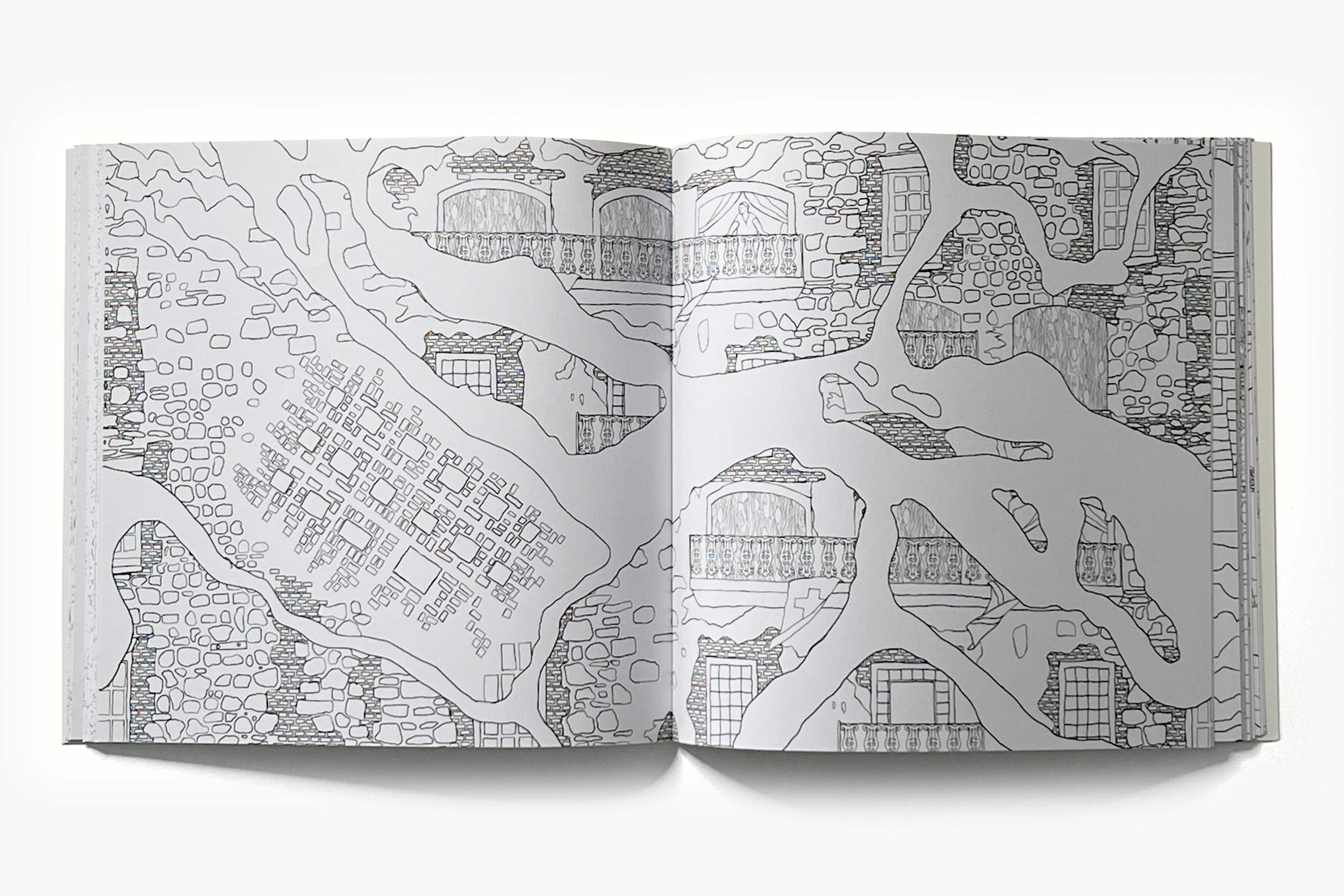 Portfolio Image Template_Book_LC6.jpg