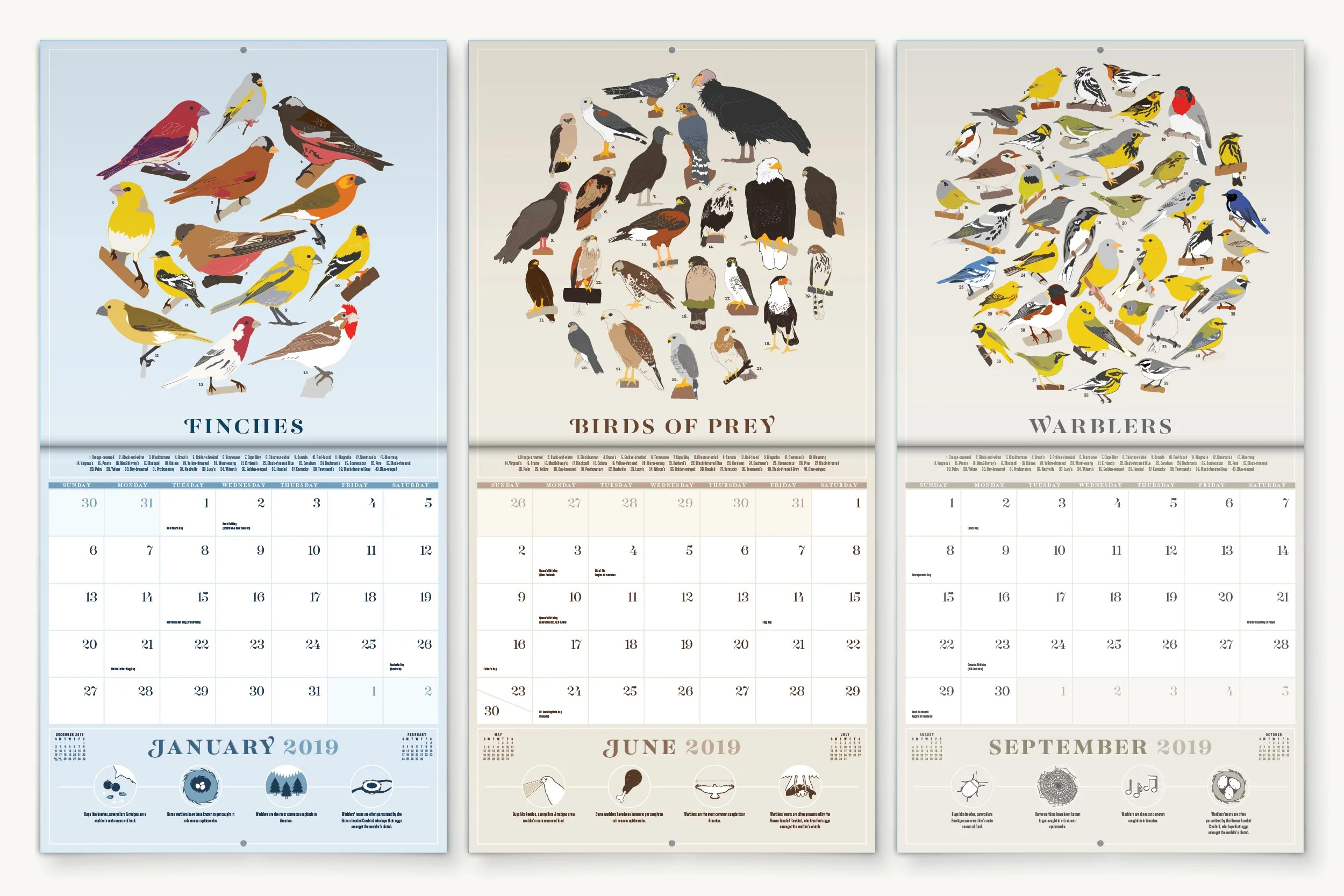 Portfolio Image Template_Book_BONA2.jpg