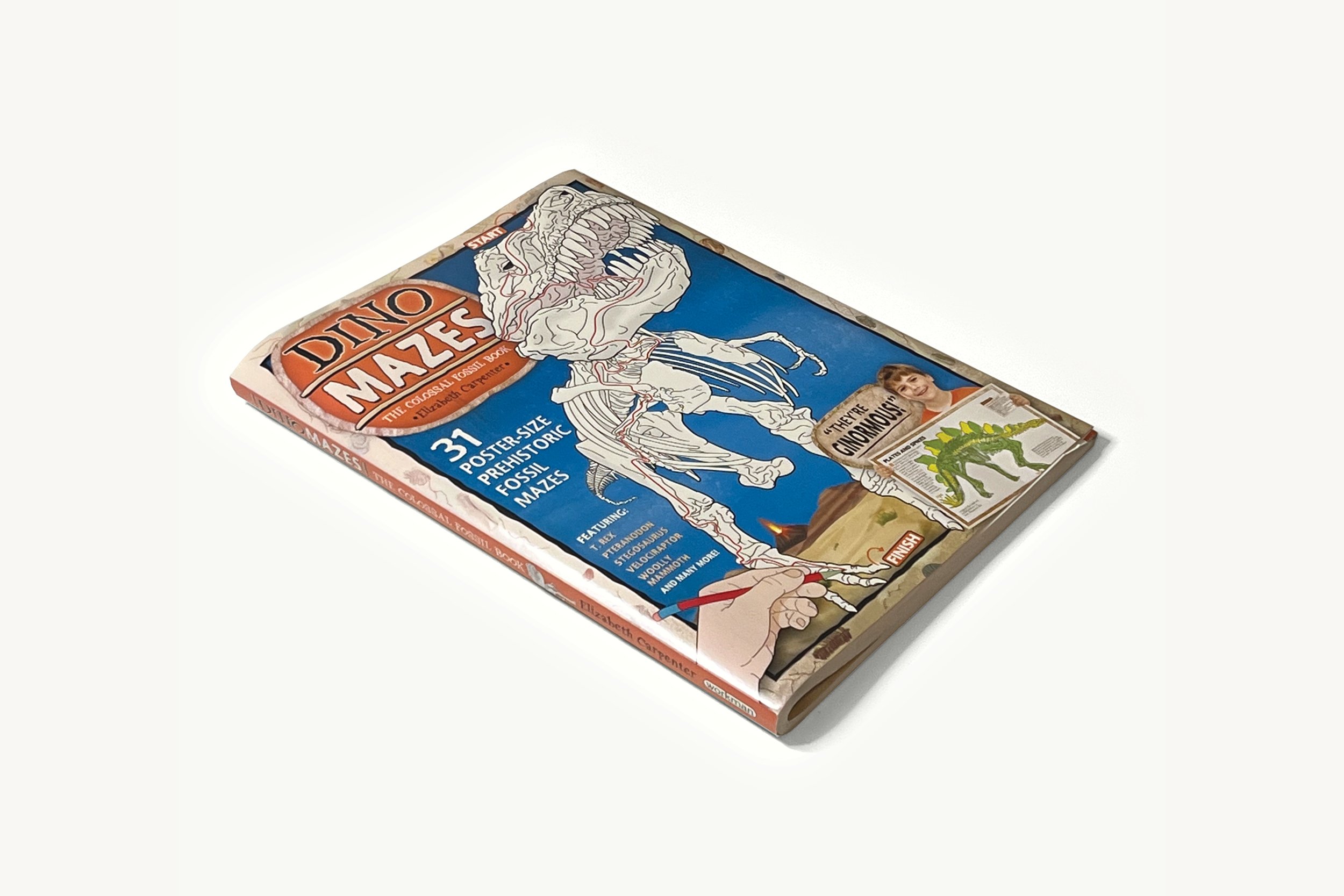 dino_mazes_.jpg