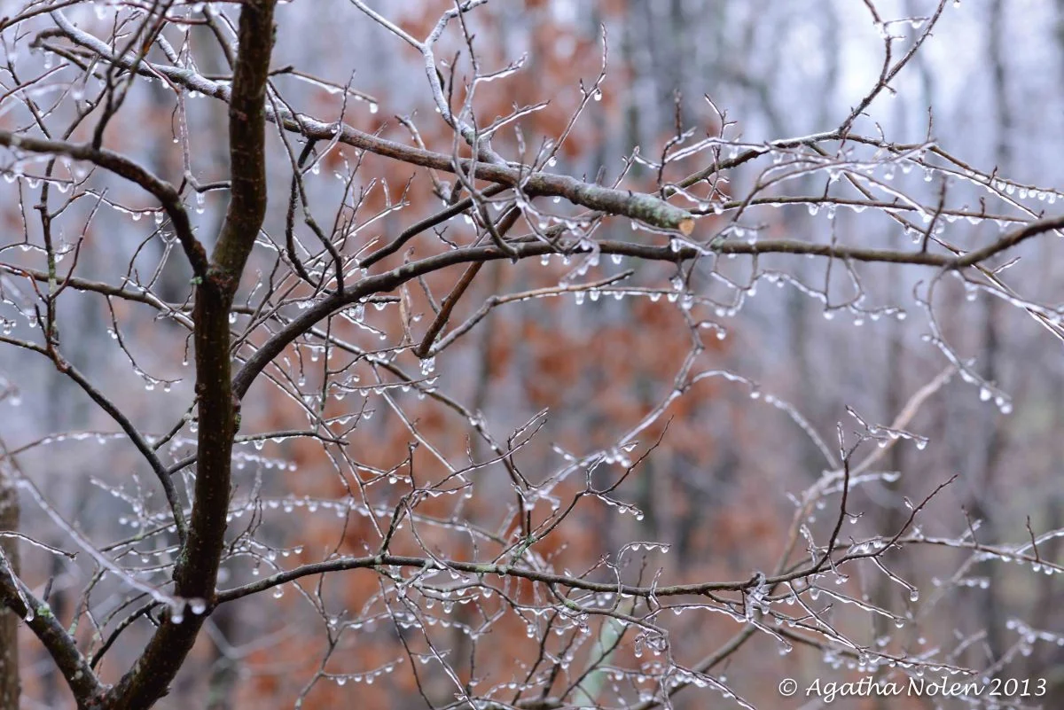 ice