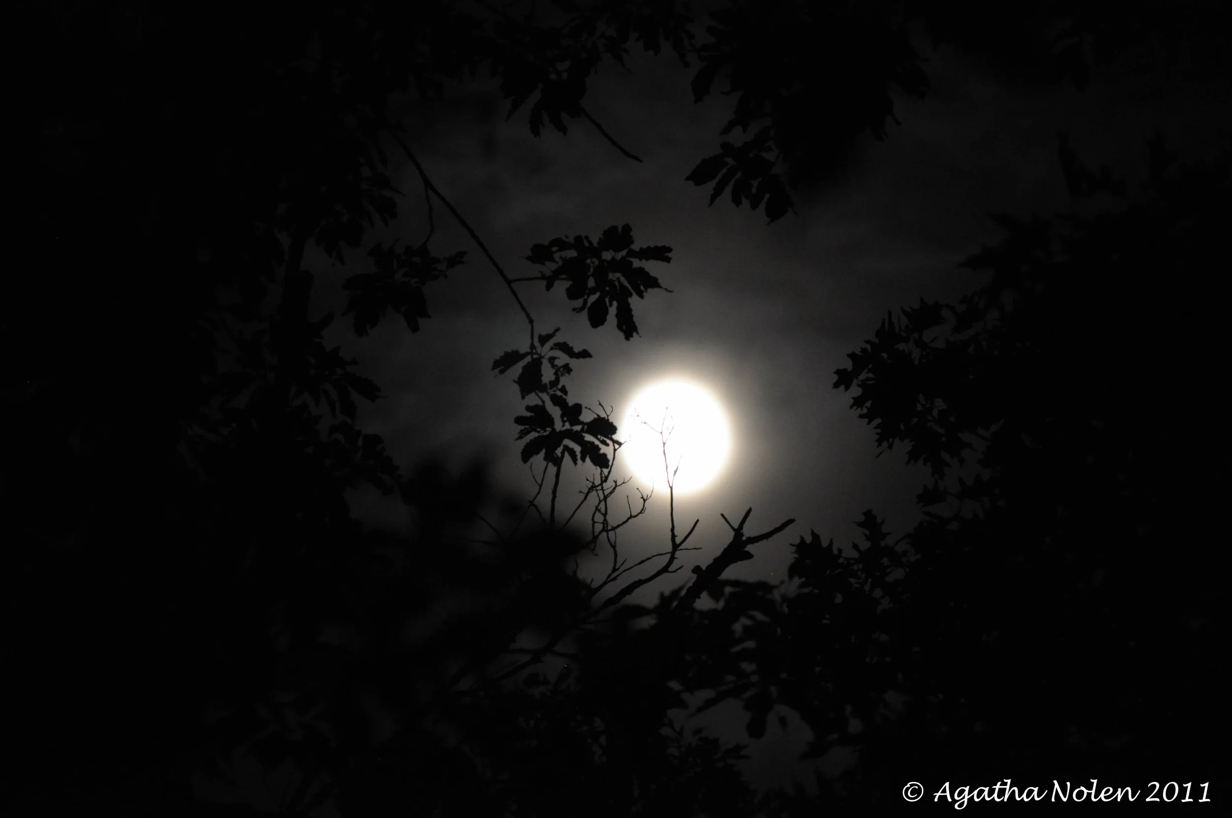 nightwatch
