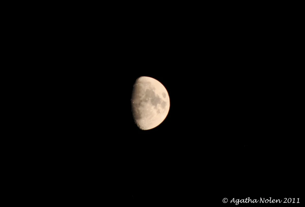 june moon