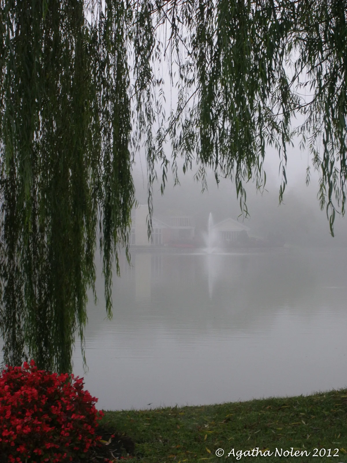 fog