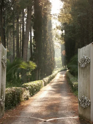 The Wide Gate