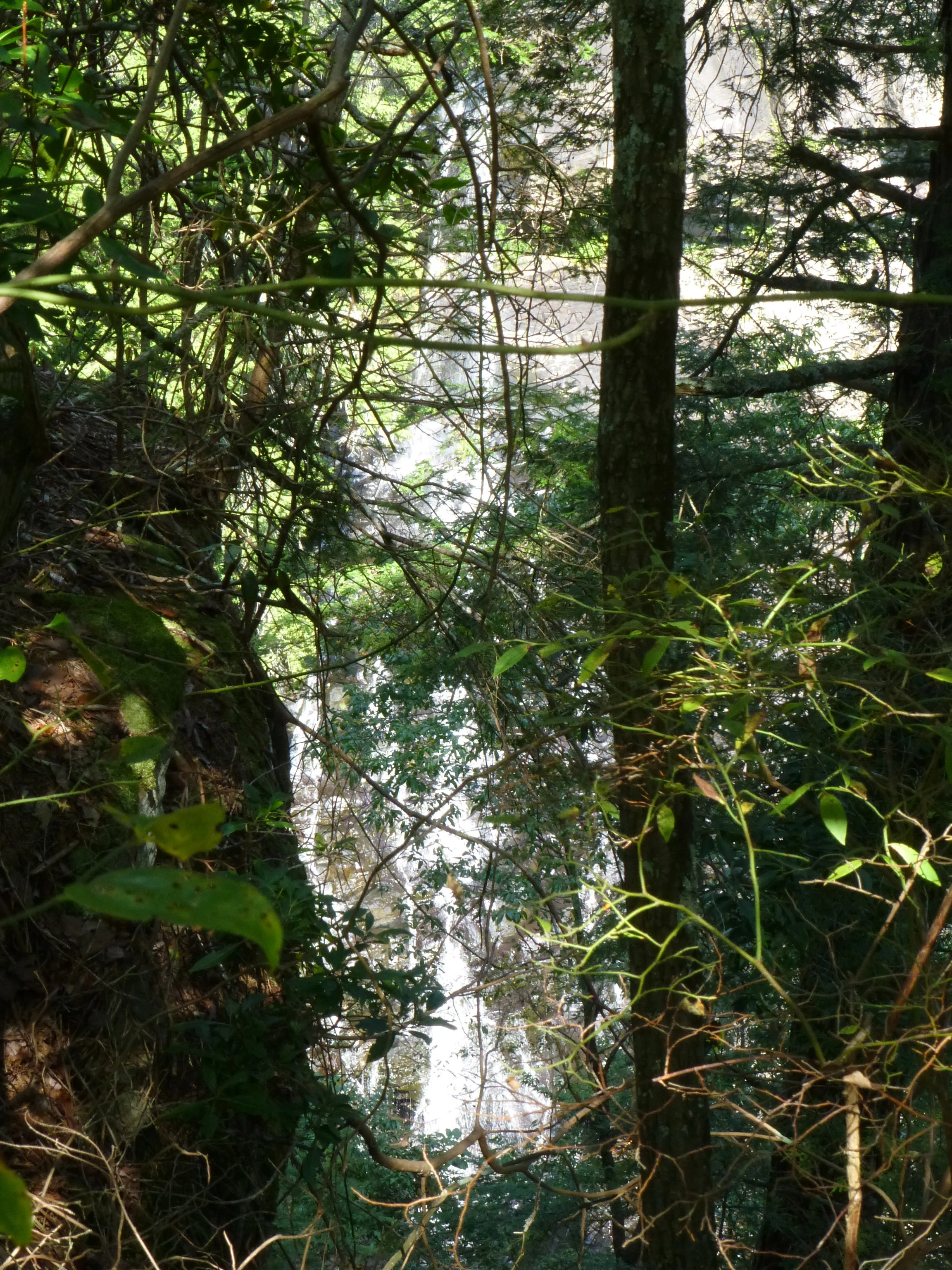 Lostness