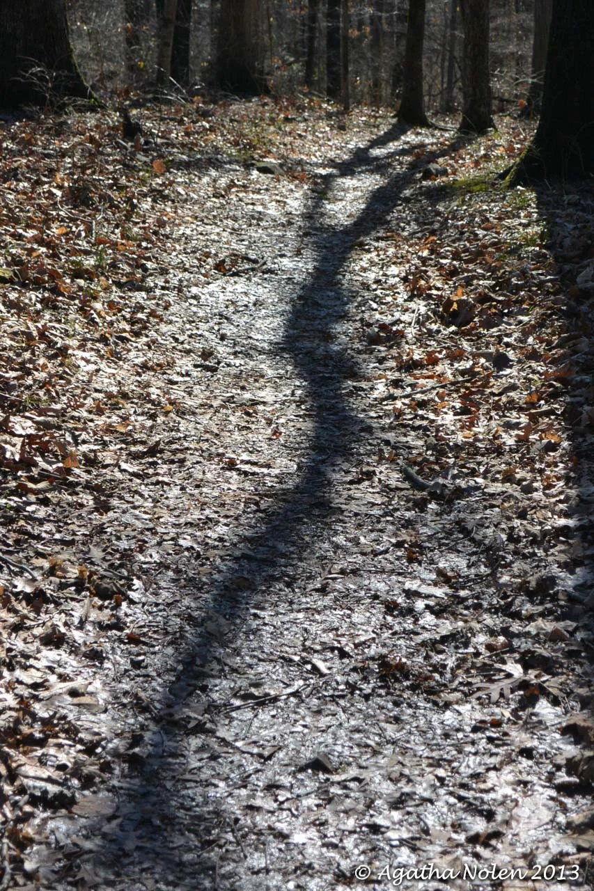 Shadow on the Trail