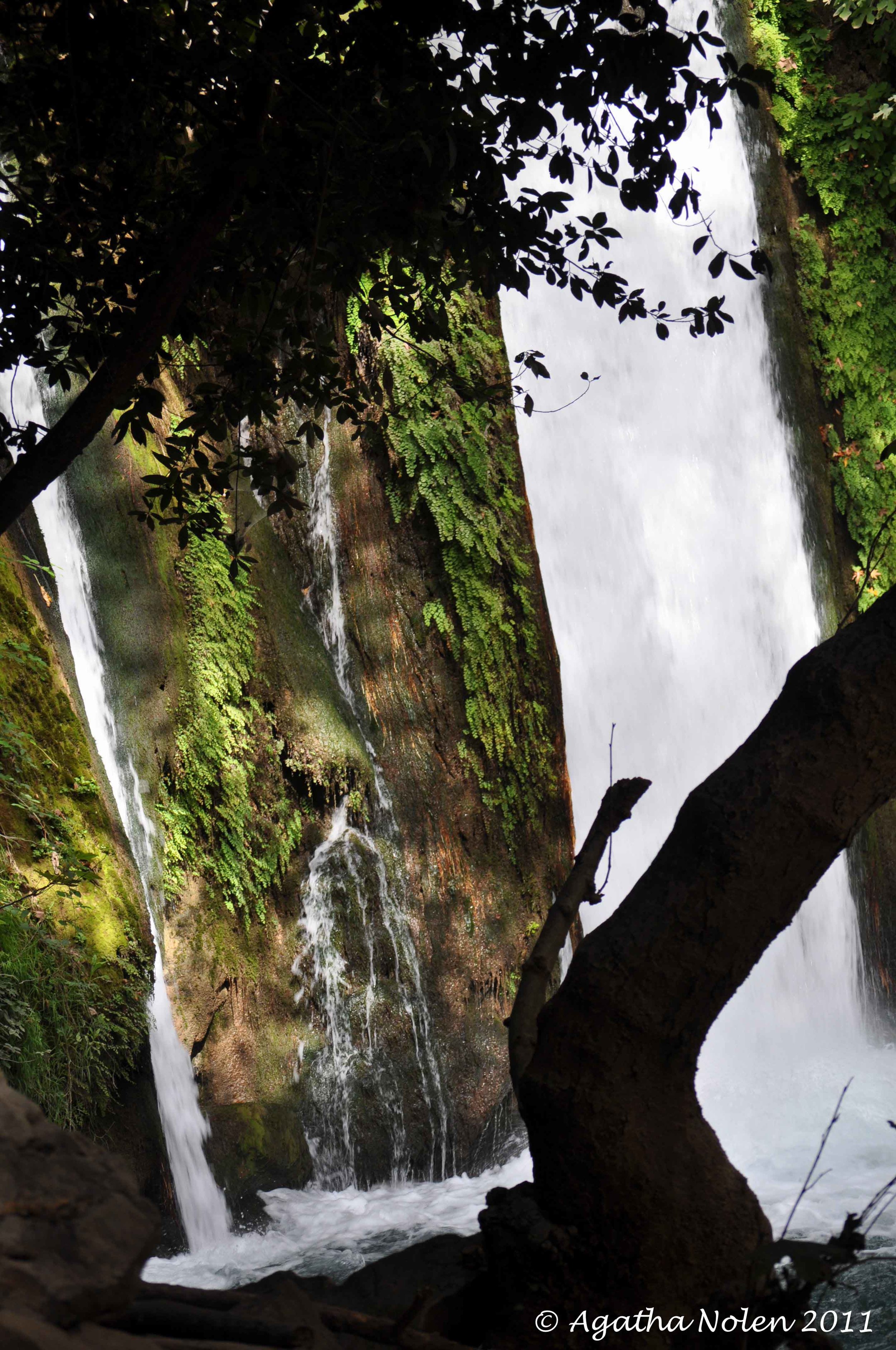 Banyas Waterfall, Israel