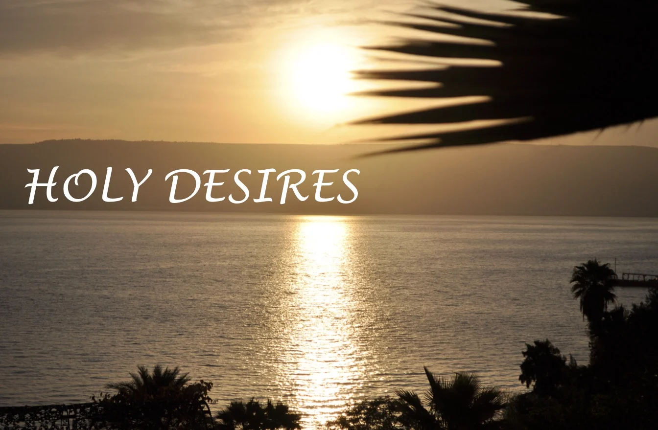 Singleness and the Church