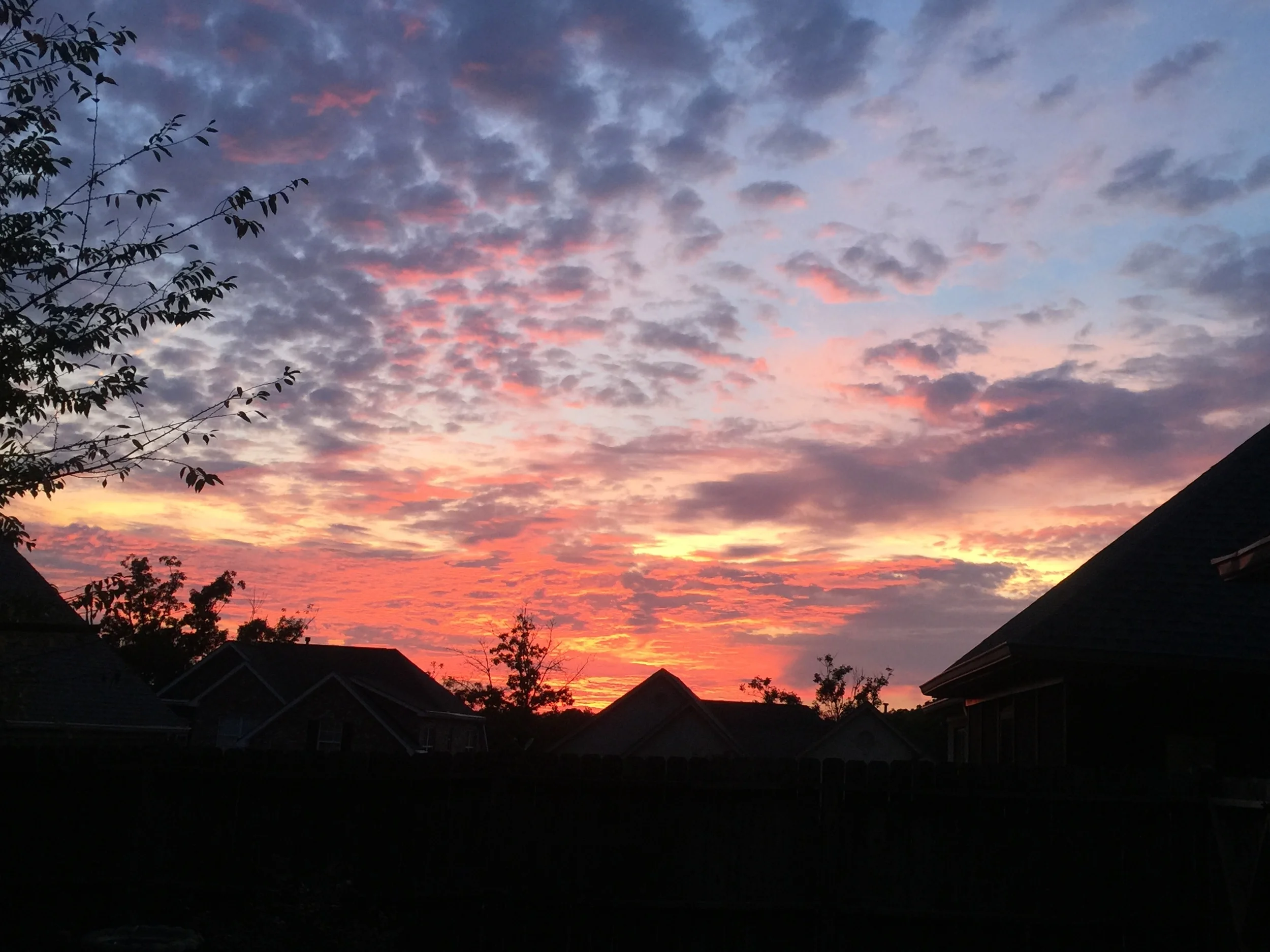 Prayer: For Quiet Confidence