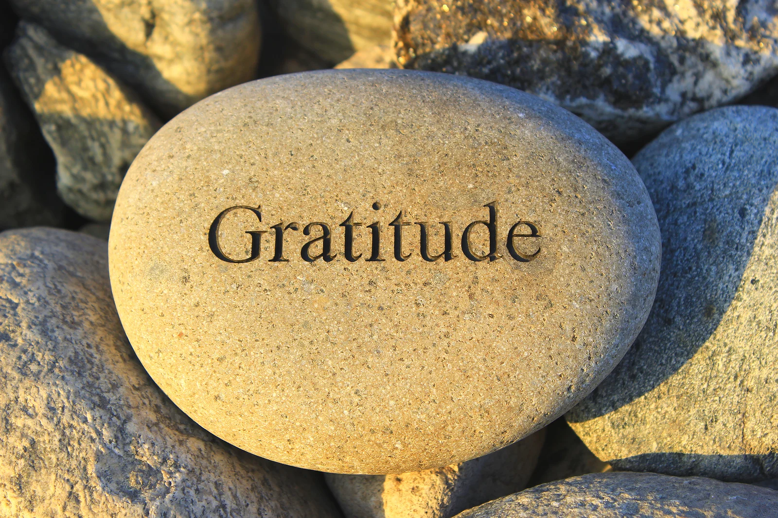 Gratitude and Attitude