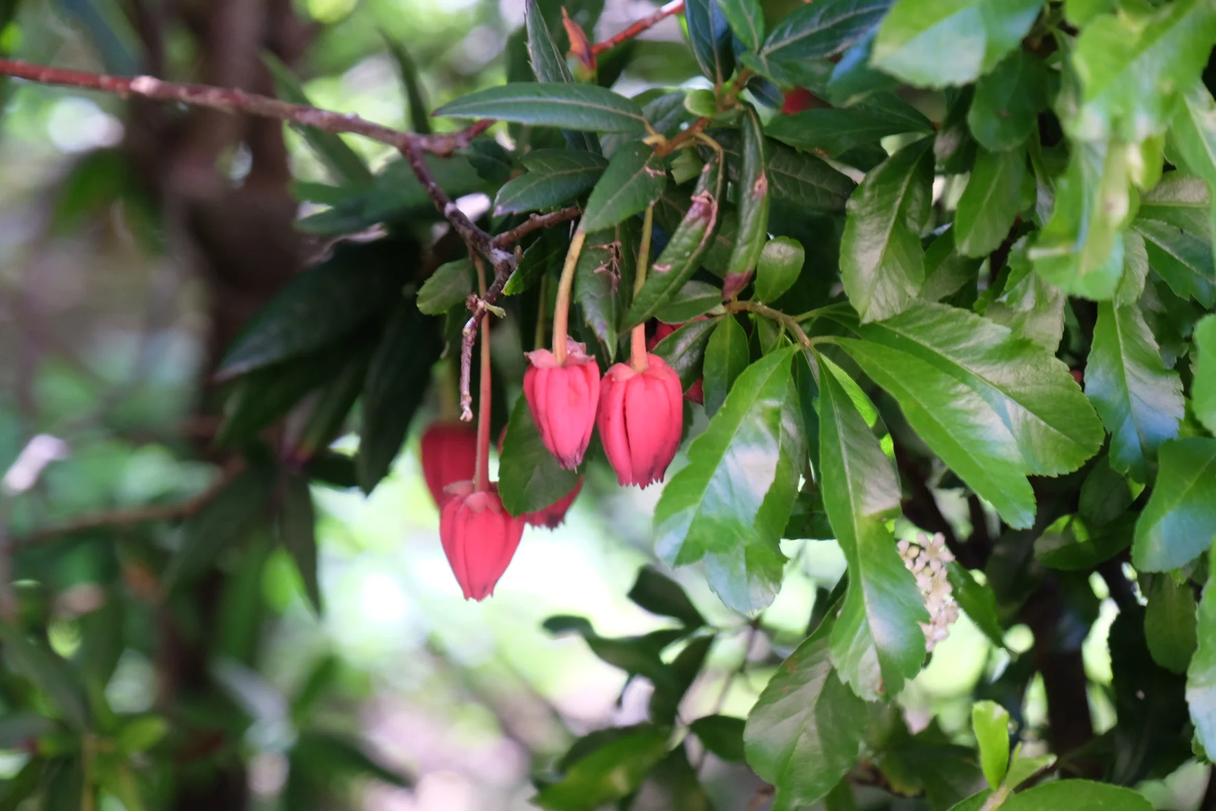 Winchester Cathedral