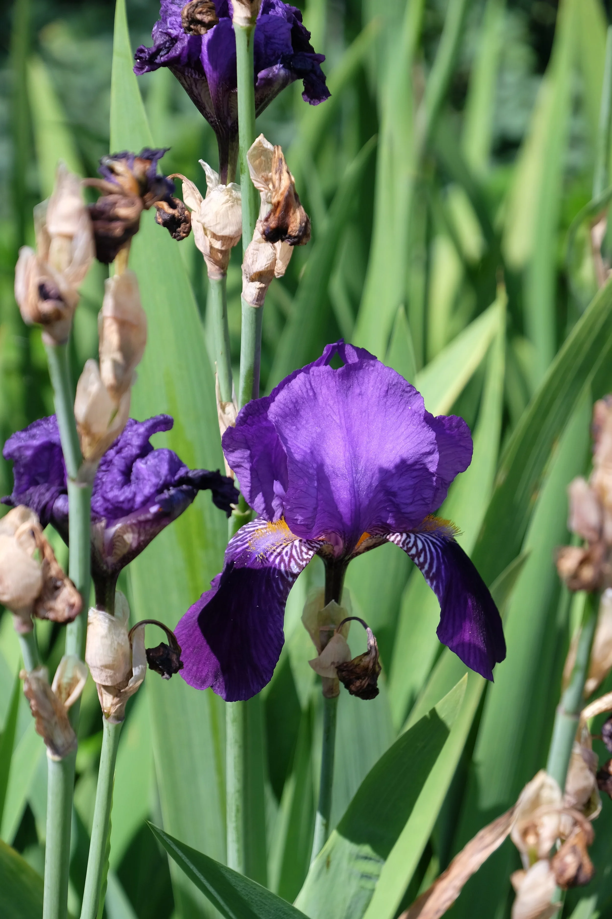 New College, Oxford- United Kingdom