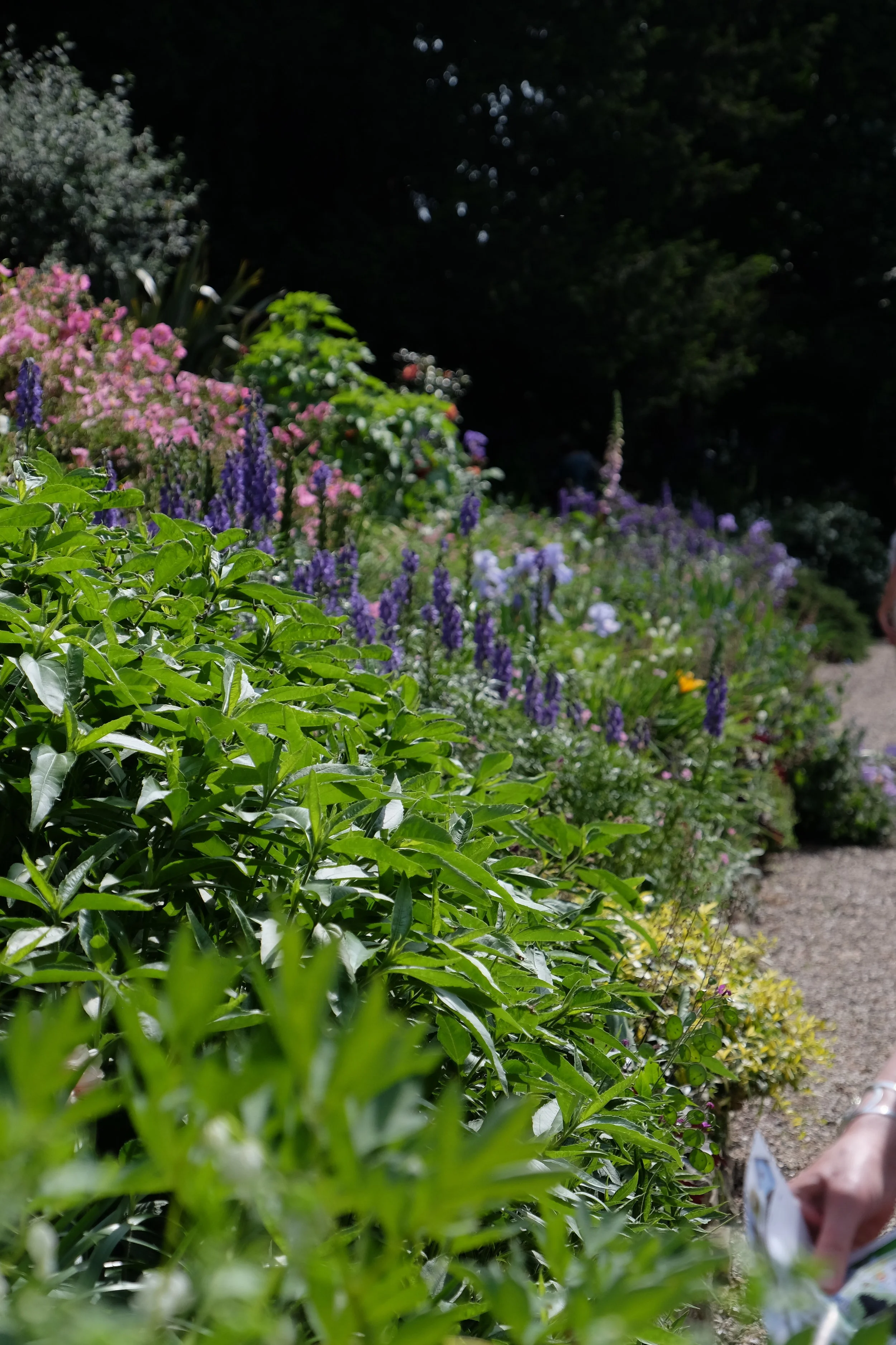 Garden Tour, Canterbury Cathedral- United Kingdom