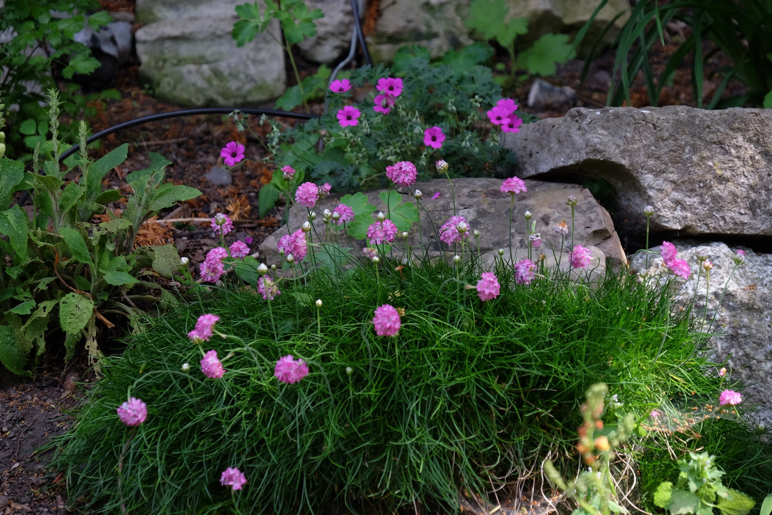 Garden Tour, Canterbury Cathedral- United Kingdom