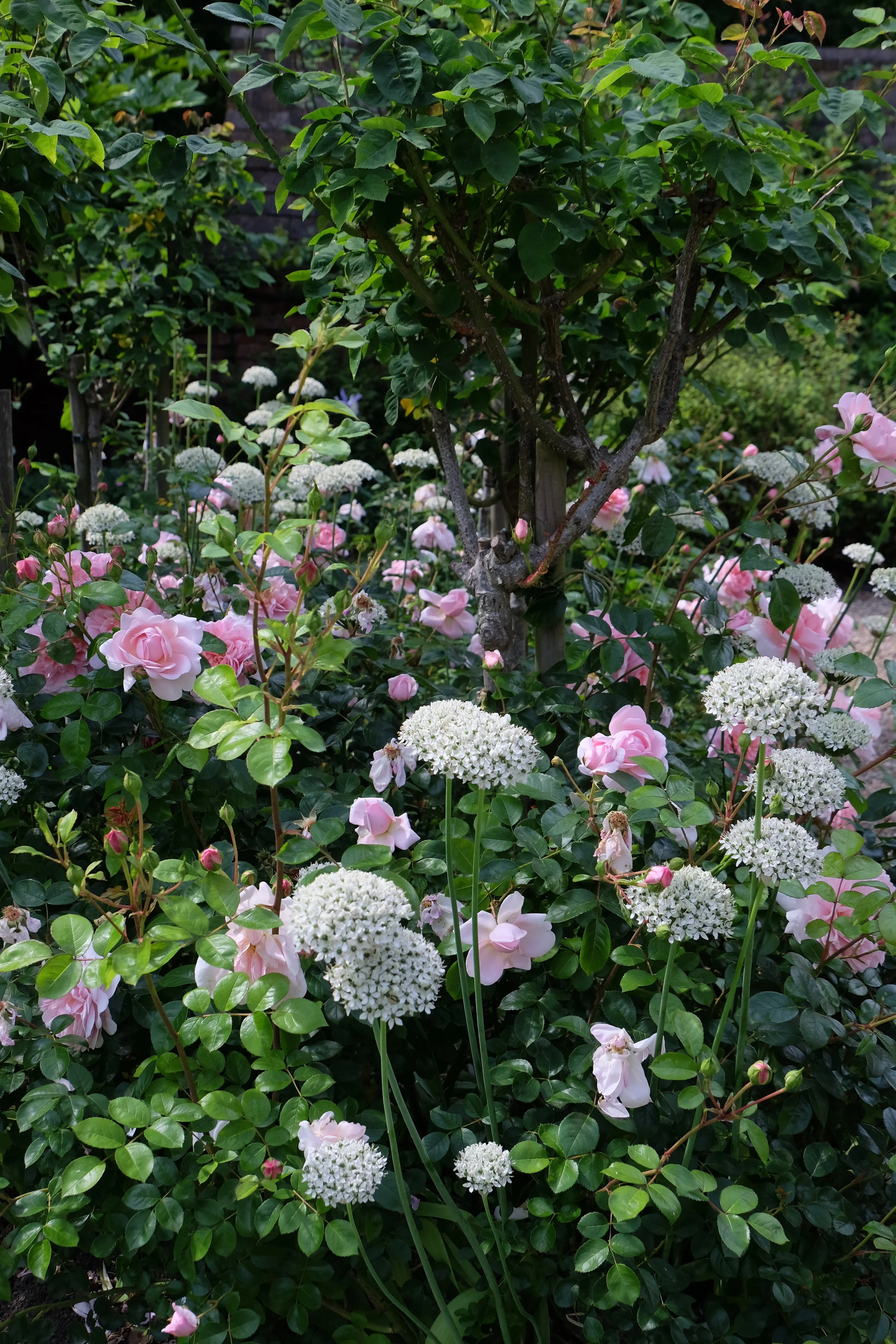 Garden Tour, Canterbury Cathedral- United Kingdom