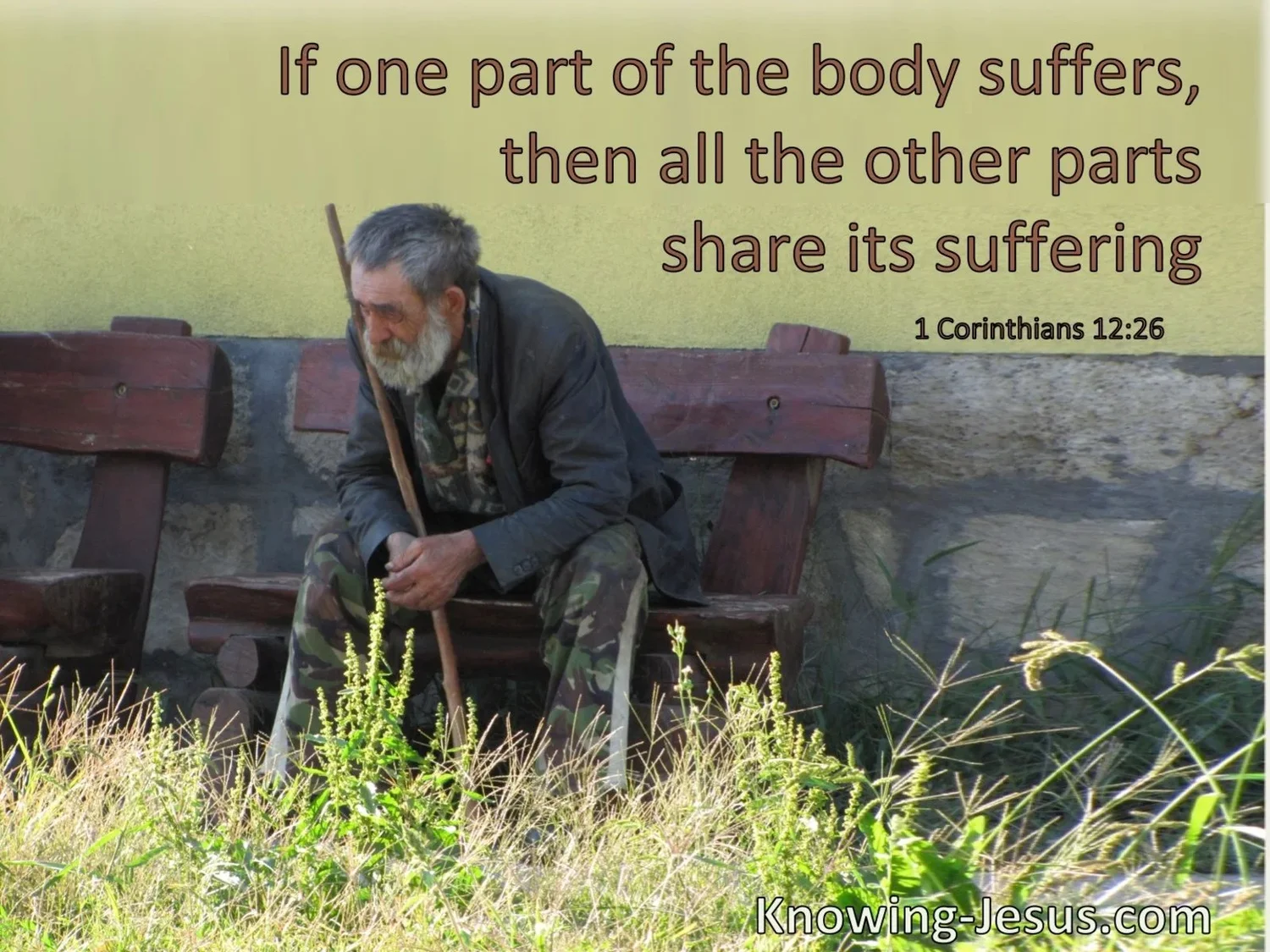 The Body Is Made Up of Many Parts episode artwork