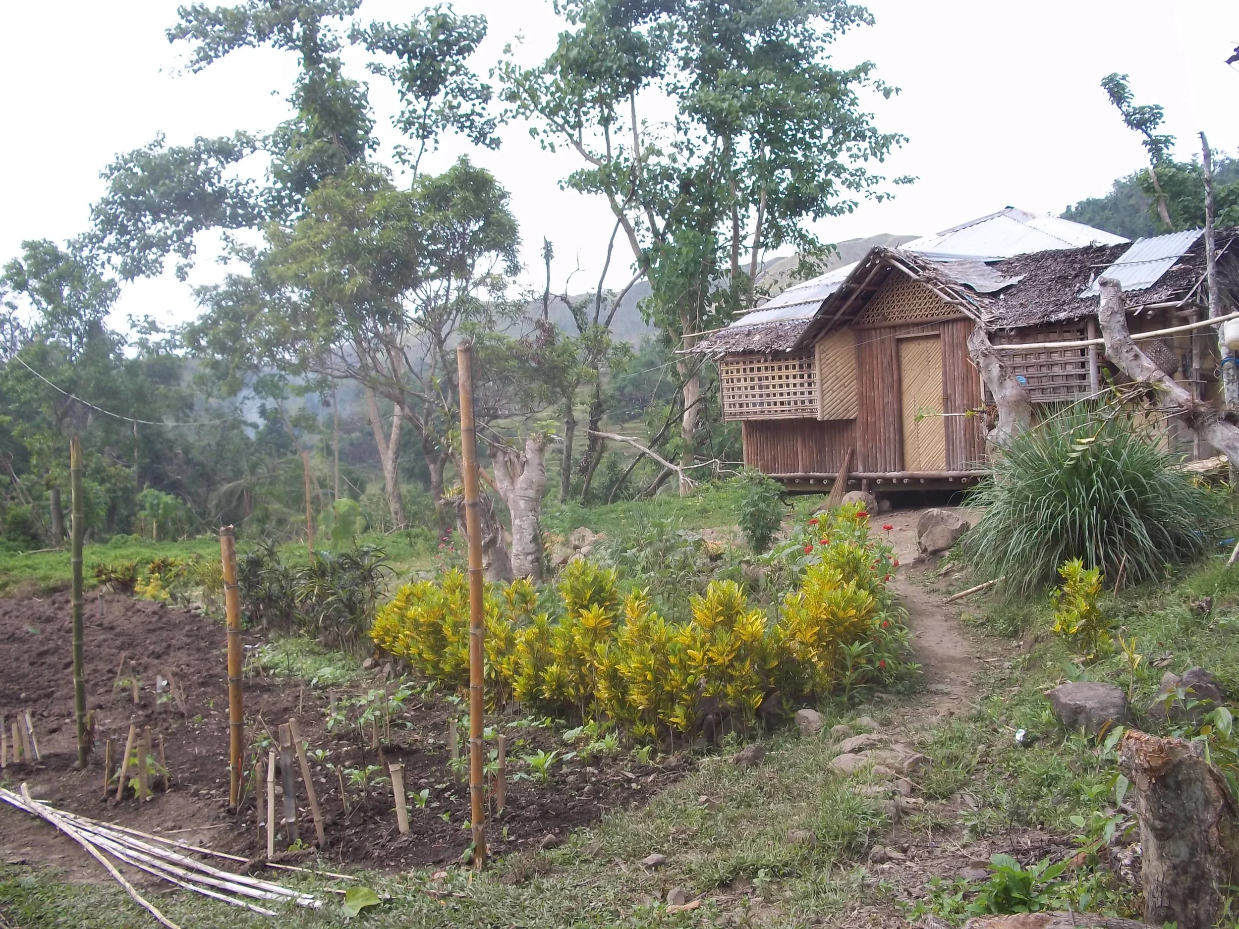  A simple home, a beautiful garden in the mountains. 