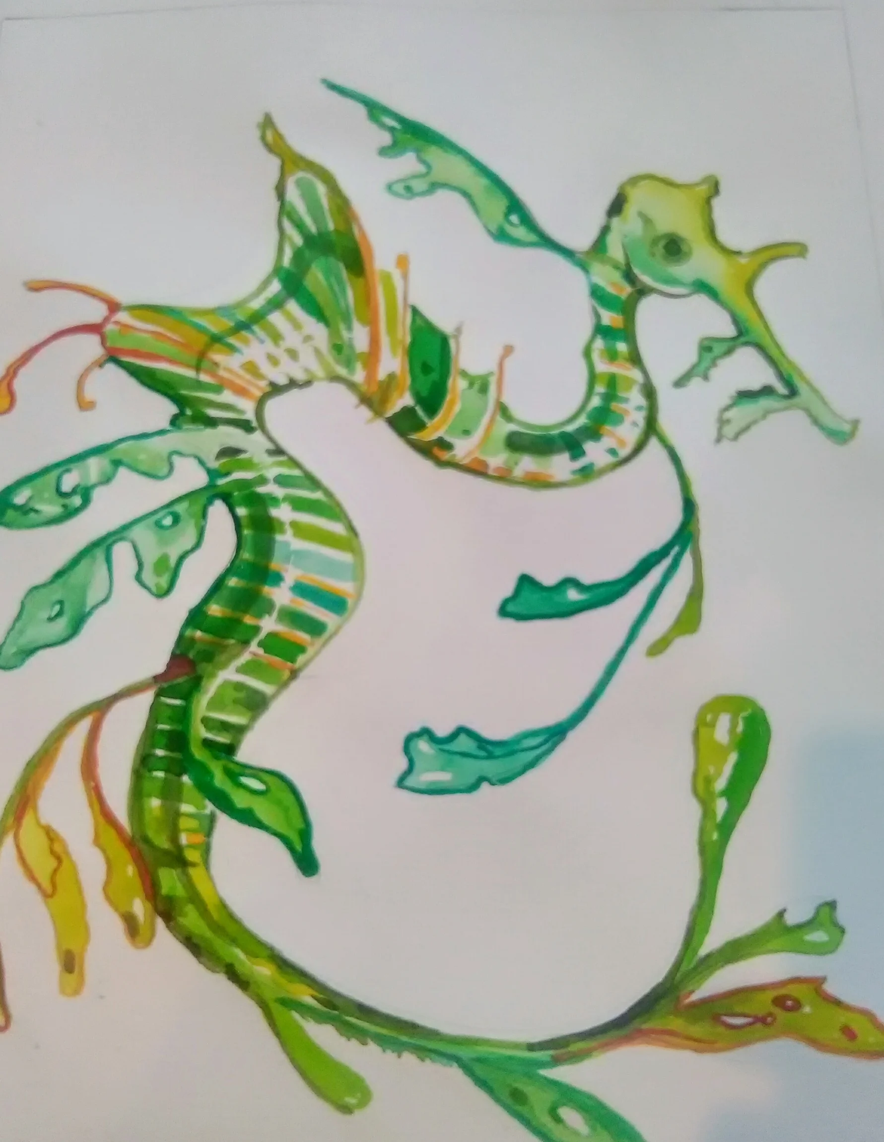 Title: 1000 Horses 2018 Plant Based dyes on Recycled paper &Upcycled Framing