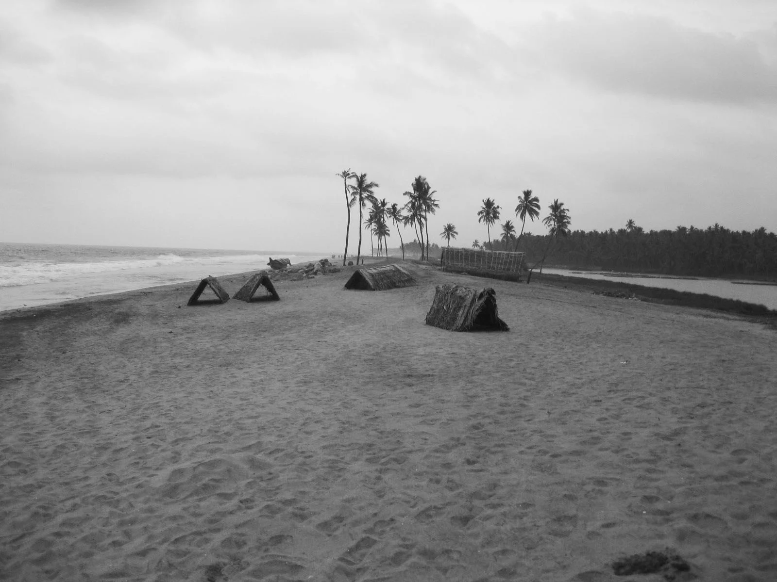 a IMG_1156.jpg