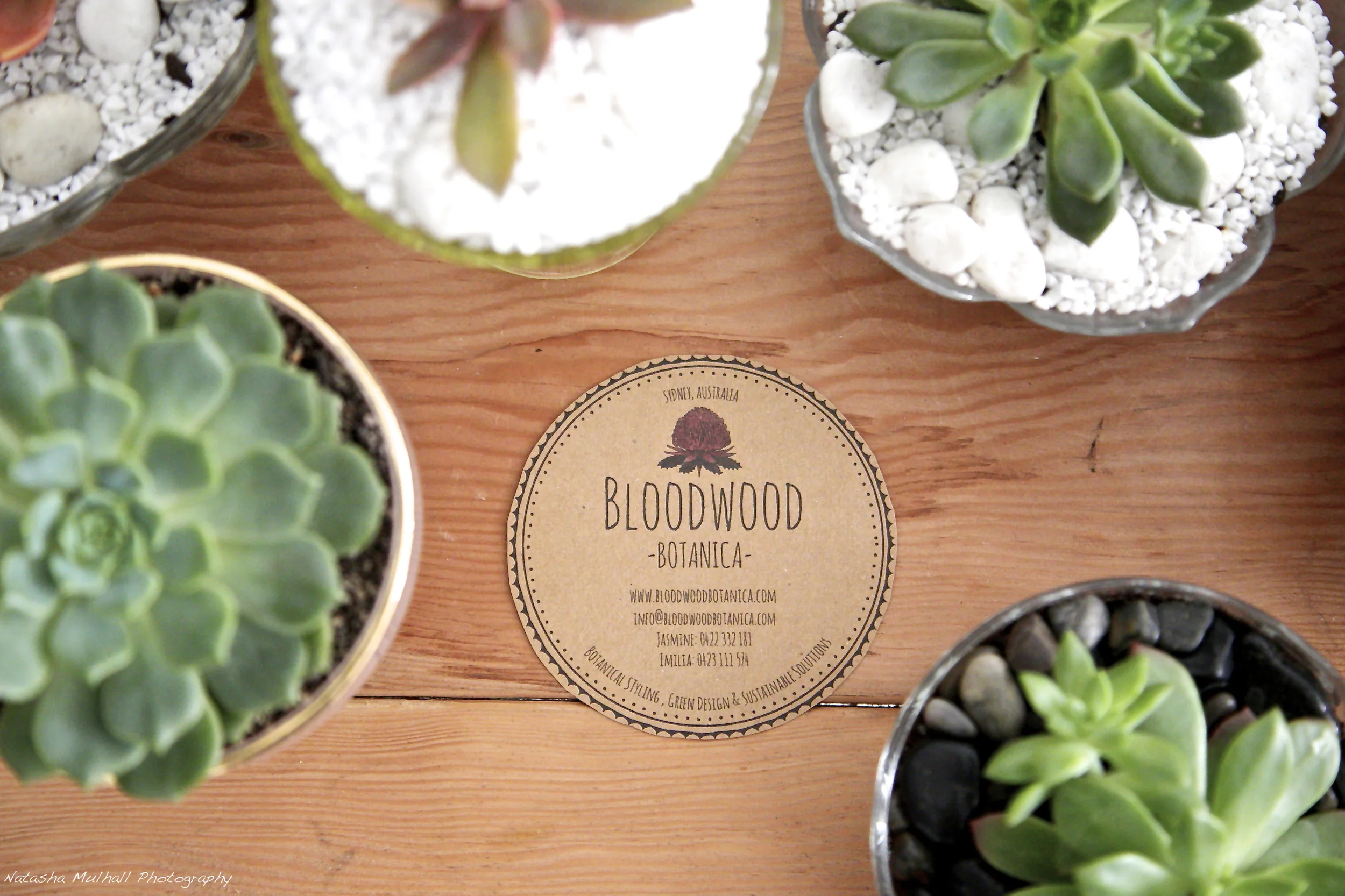 Bloodwood #2162.jpg