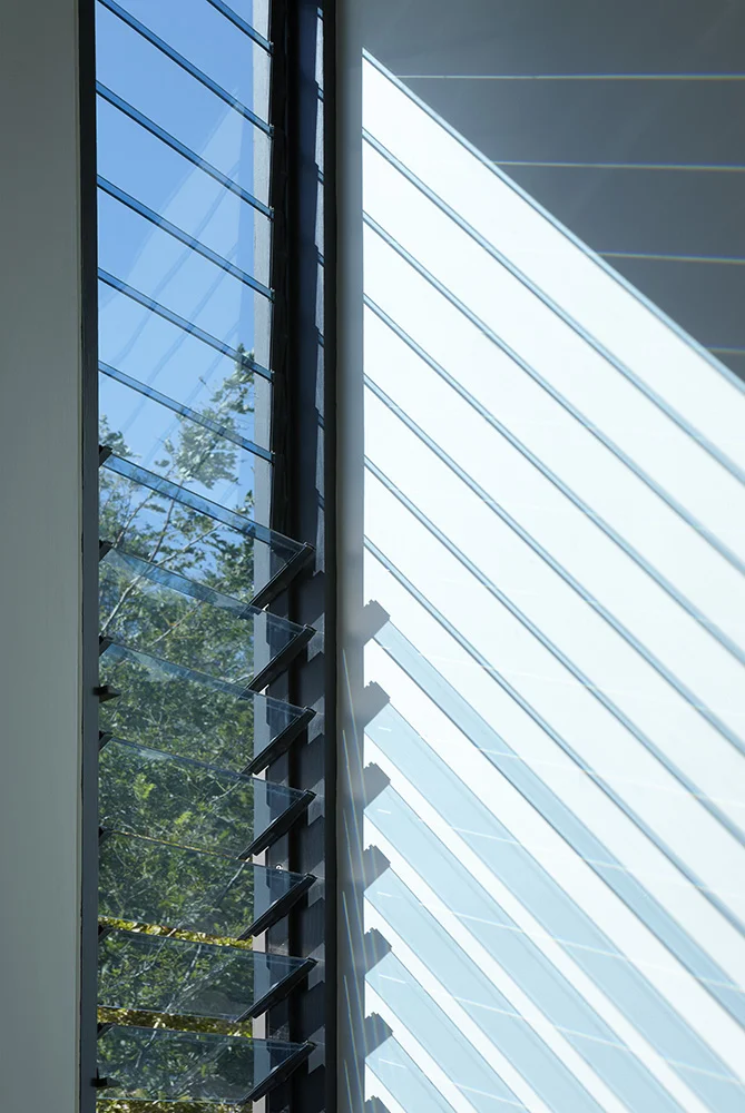 North Fitzroy House. Window Detail