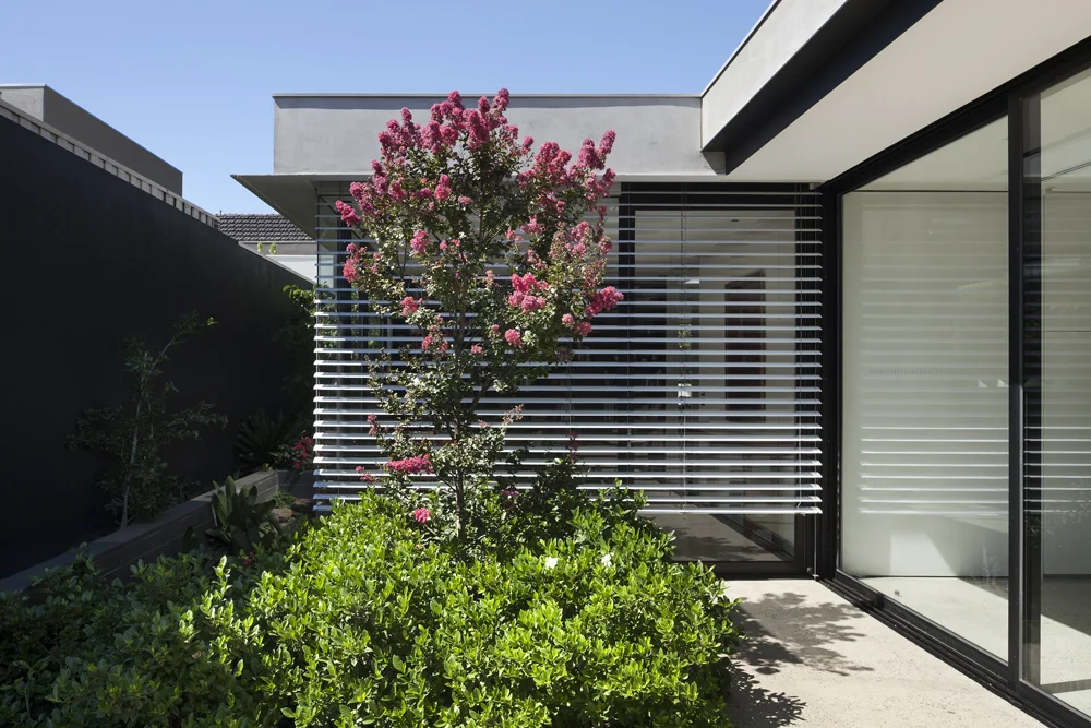 Toorak House. Couryard