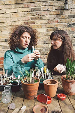 Gardening with the FT: Charlotte Mendelson