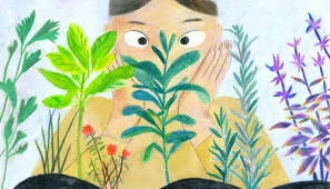 Dare to Grow Your Own Herbs