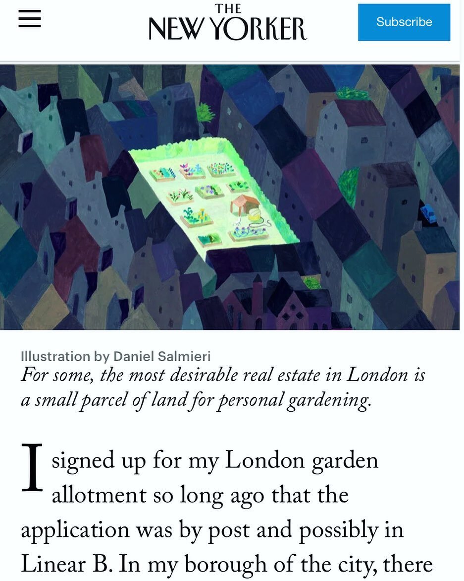 Yes it&rsquo;s true.  38b and I are an item and very happy. 

 https://www.google.com/amp/s/www.newyorker.com/culture/onward-and-upward-in-the-garden/winning-a-london-garden-allotment/amp