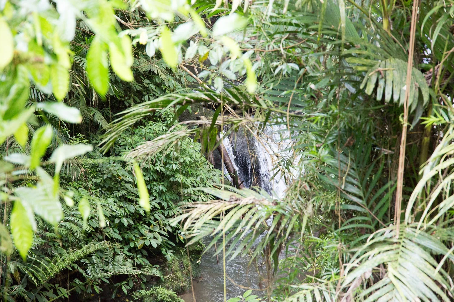 Padangbai (8 of 10).jpg