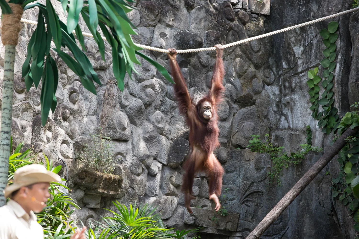 Padangbai (37 of 64).jpg